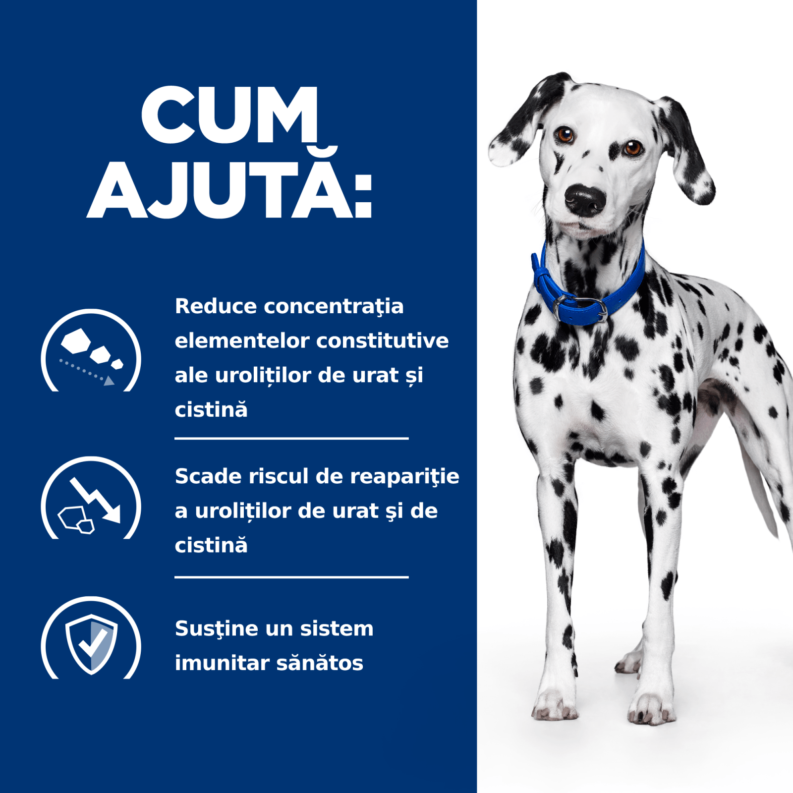 HILL\'S Prescription Diet u/d Urinary Care, dietă veterinară câini, hrană uscată, afecțiuni urinare HILL\'S Prescription Diet u/d Urinary Care, dietă veterinară câini, hrană uscată, sistem urinar, 4kg - 3 | YEO