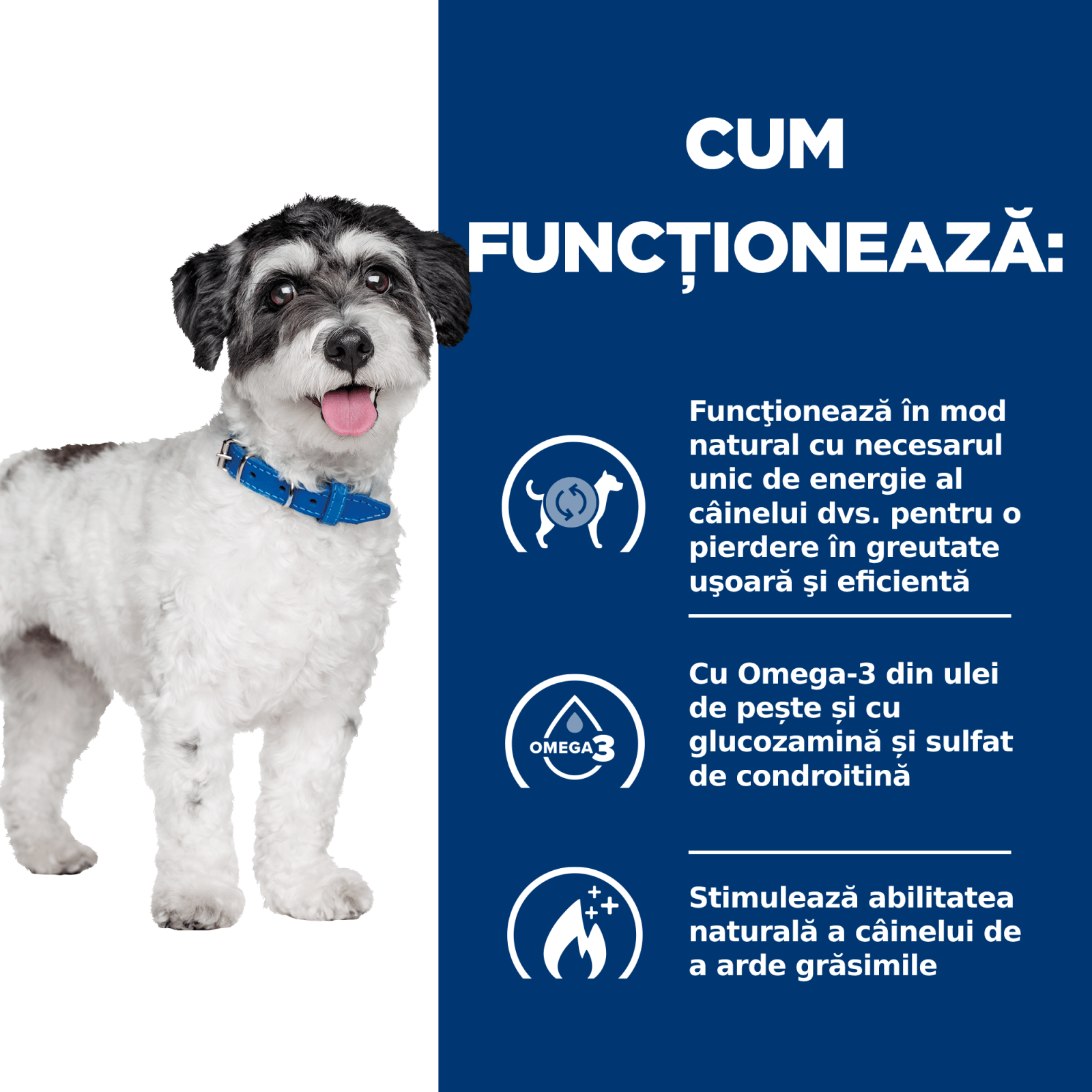 HILL'S Prescription Diet Metabolic + Weight Mini, dietă veterinară câini, hrană uscată, afecțiuni metabolice (obezitate) HILL'S Prescription Diet Metabolic + Mobility Mini, dietă veterinară câini, hrană uscată, metabolism (obezitate si diabet), sistem ar