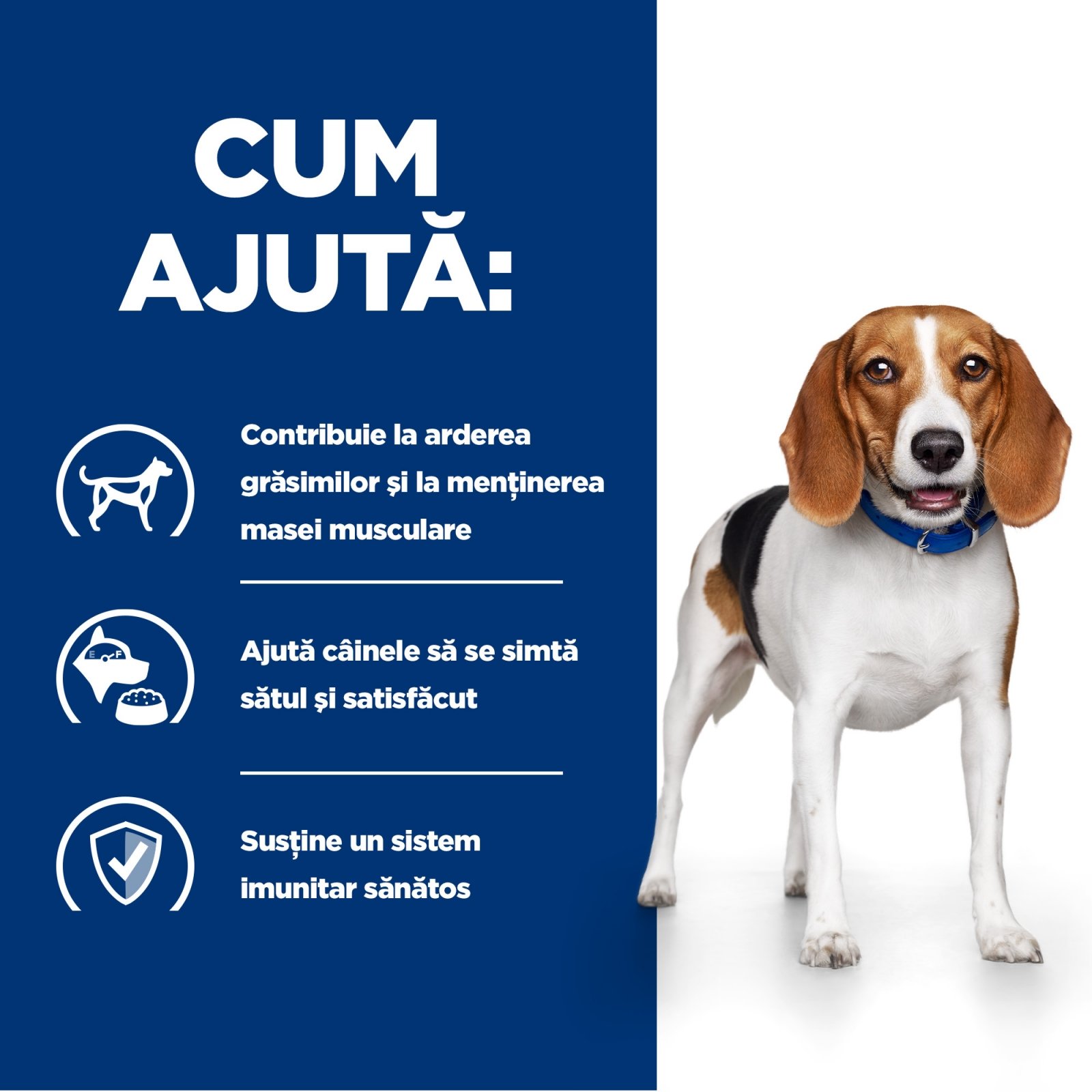 HILL'S Prescription Diet r/d Weight Loss, Pui, dietă veterinară câini, hrană uscată, scădere în greutate HILL'S Prescription Diet r/d Weight Loss, Pui, dietă veterinară câini, hrană uscată, metabolism (obezitate si diabet), 1.5kg