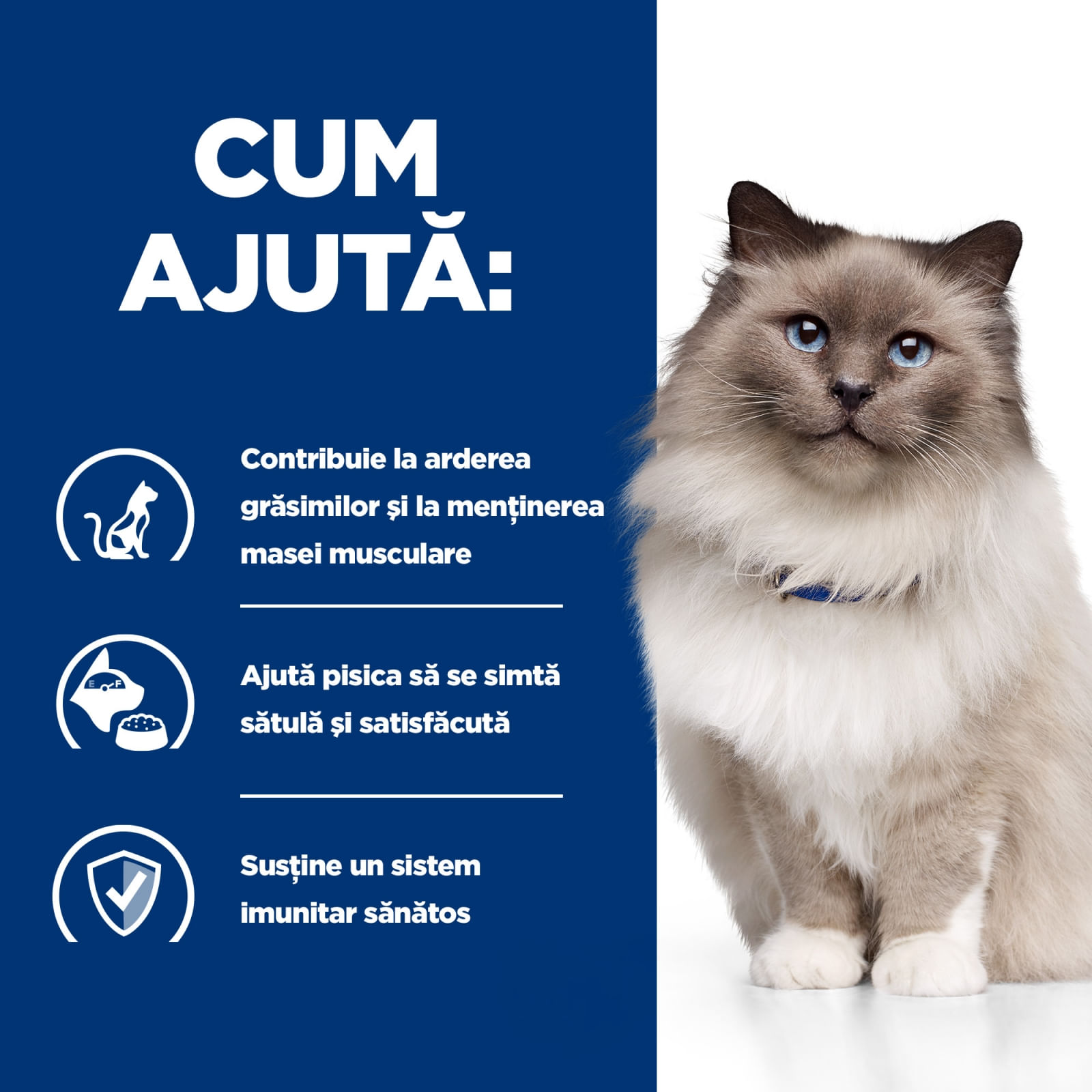 HILL'S Prescription Diet r/d Wheight Loss, Pui, dietă veterinară pisici, hrană uscată, scădere în greutate HILL'S Prescription Diet r/d Wheight Loss, Pui, dietă veterinară pisici, hrană uscată, metabolism (obezitate si diabet), 3kg