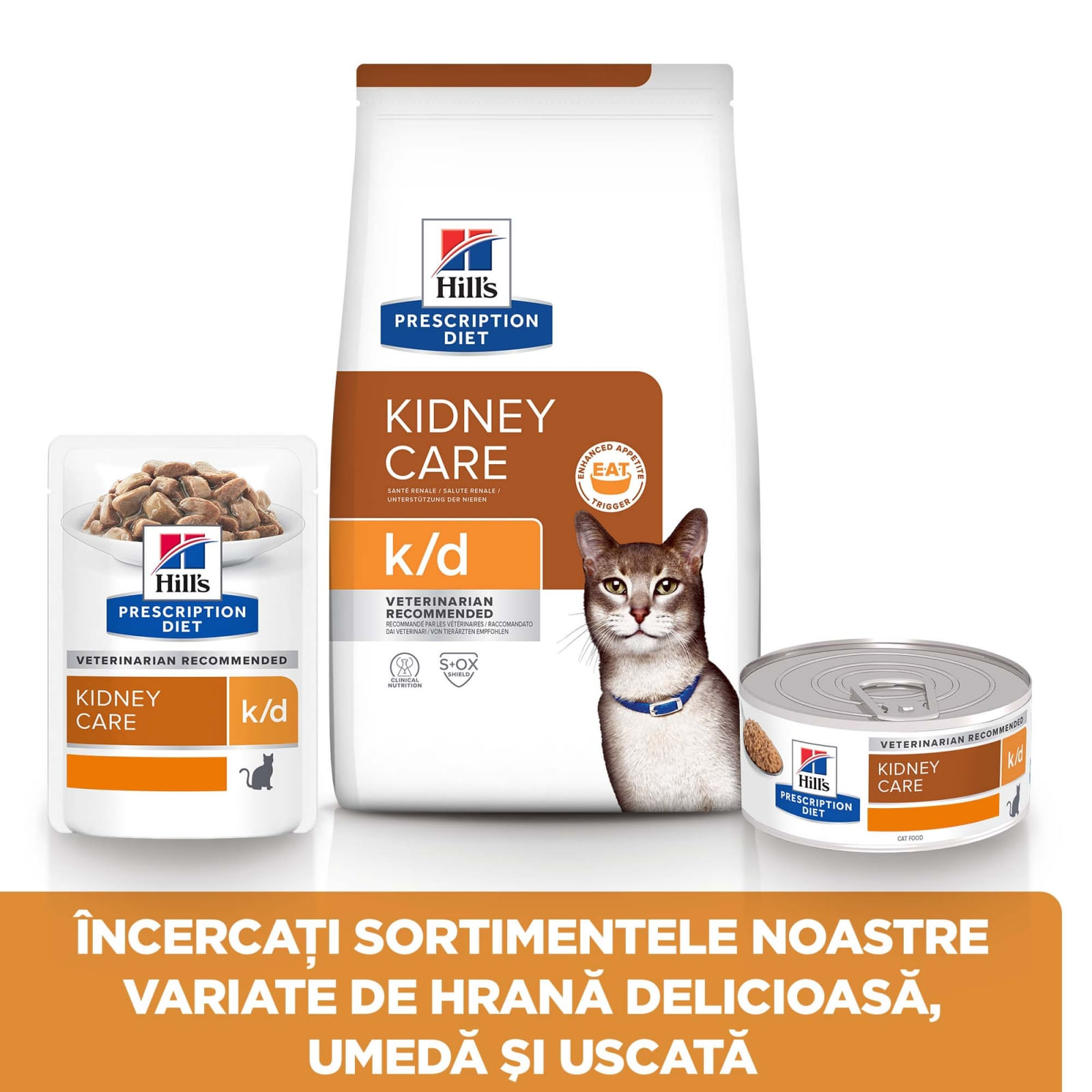 HILL'S Prescription Diet k/d Kidney Care, Pui, dietă veterinară pisici, hrană uscată, afecțiuni renale HILL'S Prescription Diet k/d Kidney Care, Pui, dietă veterinară pisici, hrană uscată, sistem renal, 400g