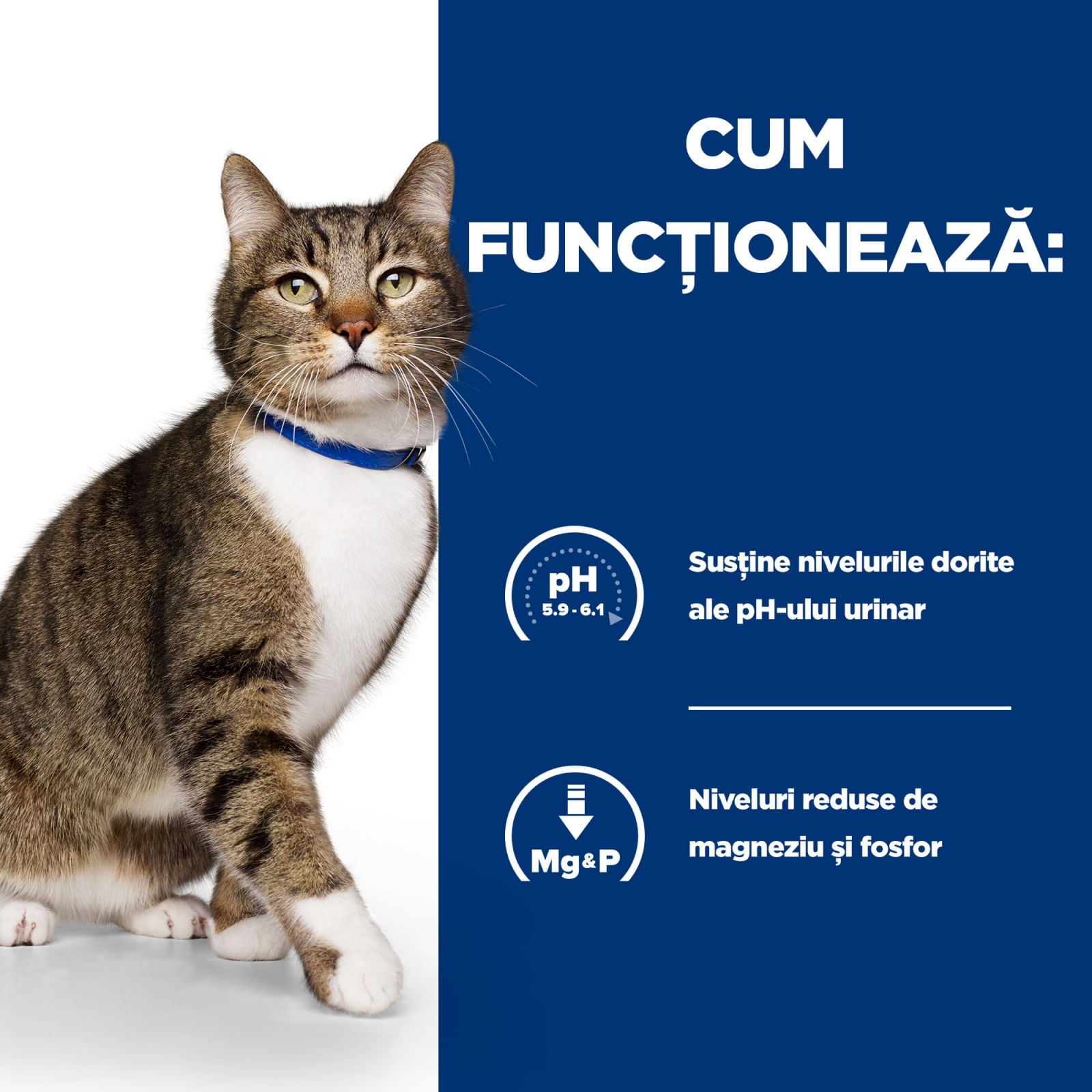 HILL'S Prescription Diet s/d Urinary Care, Pui, dietă veterinară pisici, hrană uscată, afecțiuni urinare HILL'S Prescription Diet s/d Urinary Care, Pui, dietă veterinară pisici, hrană uscată, sistem urinar, 1.5kg
