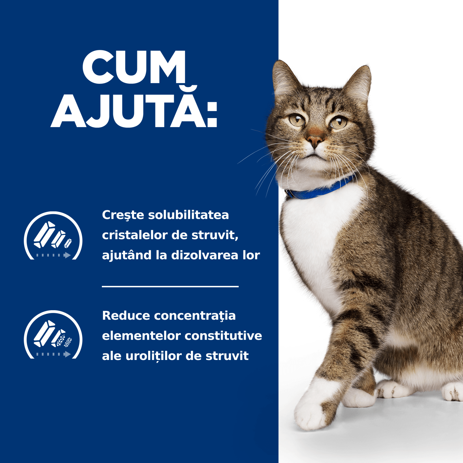 HILL'S Prescription Diet s/d Urinary Care, Pui, dietă veterinară pisici, hrană uscată, afecțiuni urinare HILL'S Prescription Diet s/d Urinary Care, Pui, dietă veterinară pisici, hrană uscată, sistem urinar, 3kg