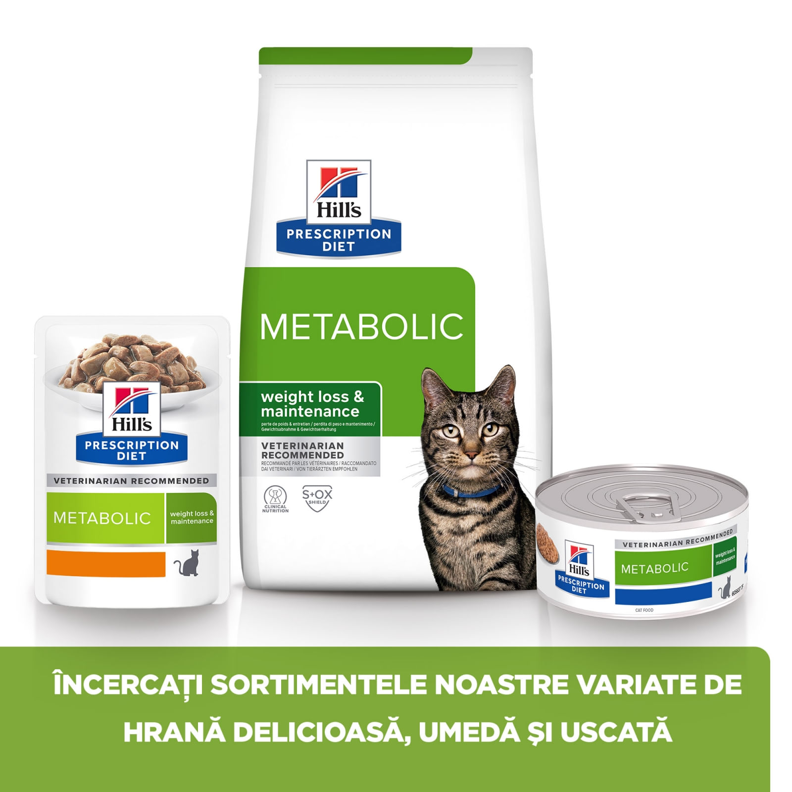 HILL'S Prescription Diet Metabolic, Pui, dietă veterinară pisici, hrană uscată, afecțiuni metabolice (obezitate) HILL'S Prescription Diet Metabolic, Pui, dietă veterinară pisici, hrană uscată, metabolism (obezitate si diabet), 8kg