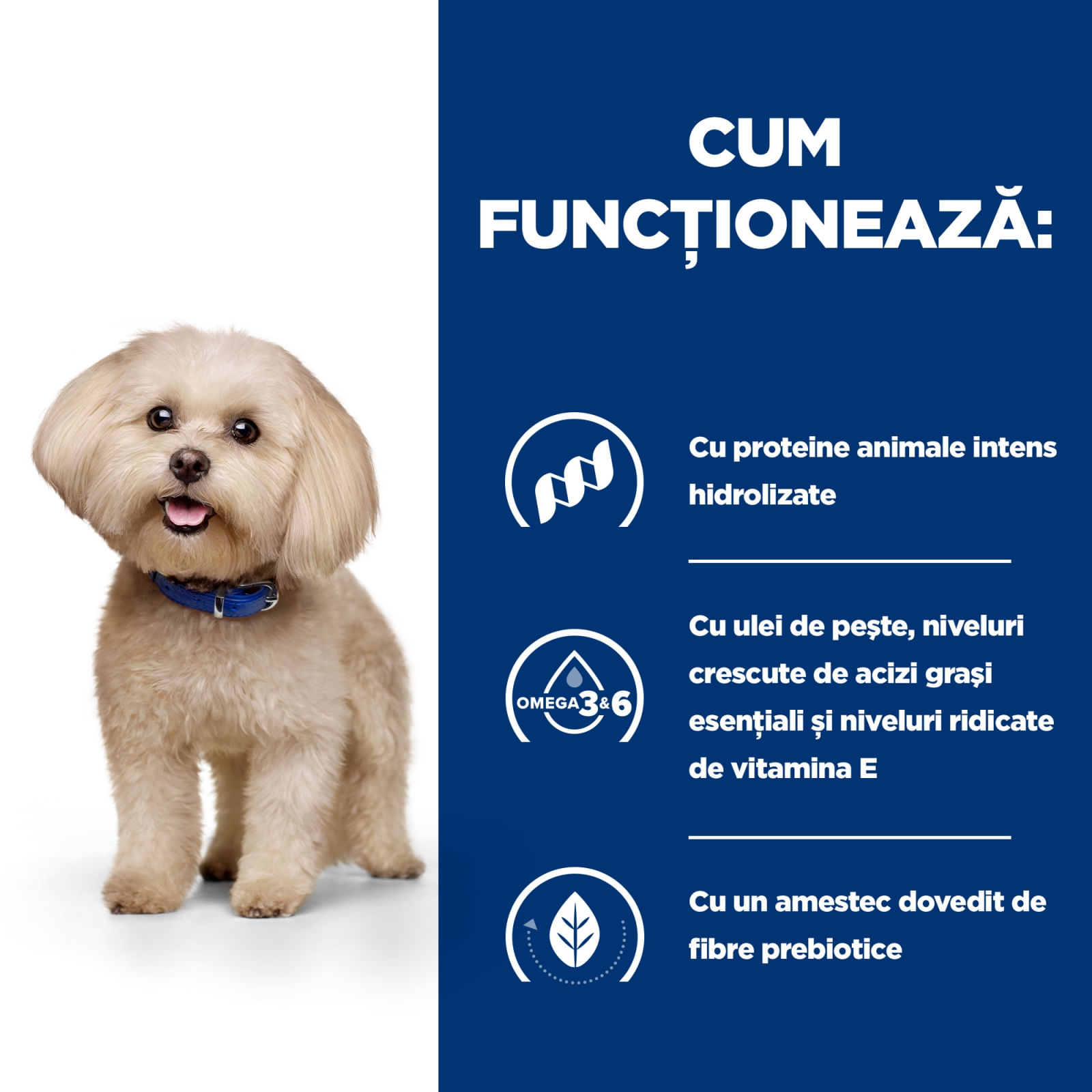 HILL'S Prescription Diet z/d Food Sensitivities Mini, dietă veterinară câini, hrană uscată, afecțiuni dermatologice și digestive HILL'S Prescription Diet z/d Food Sensitivities Mini, dietă veterinară câini, hrană uscată, piele & blana, sistem digestiv, 1