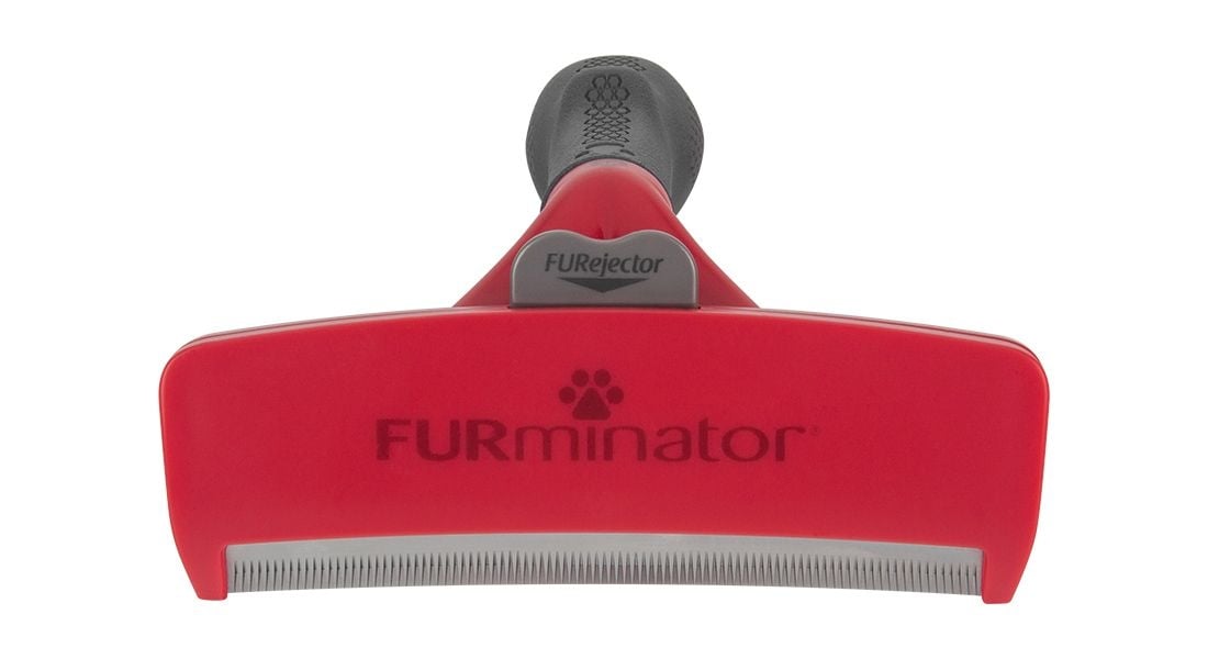 FURMINATOR, perie câini, păr scurt, anti-năpârlire, metal FURMINATOR, XL, perie câini, păr scurt, anti-năpârlire, metal