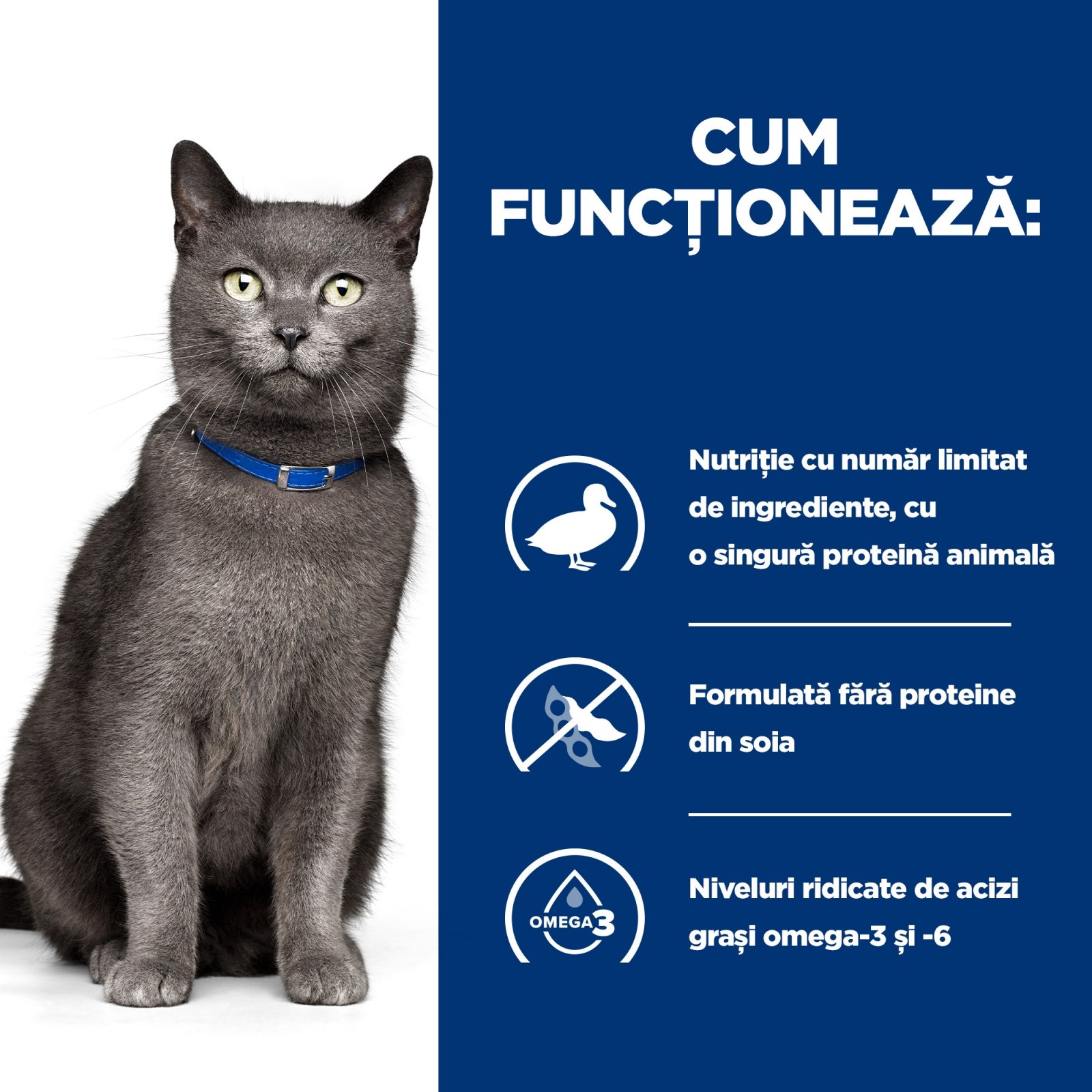 HILL'S Prescription Diet d/d, Rață cu Mazăre, dietă veterinară pisici, hrană uscată, sensibilități digestive HILL'S Prescription Diet d/d, Rață cu Mazăre, dietă veterinară pisici, hrană uscată, piele & blana, sistem digestiv, 3kg