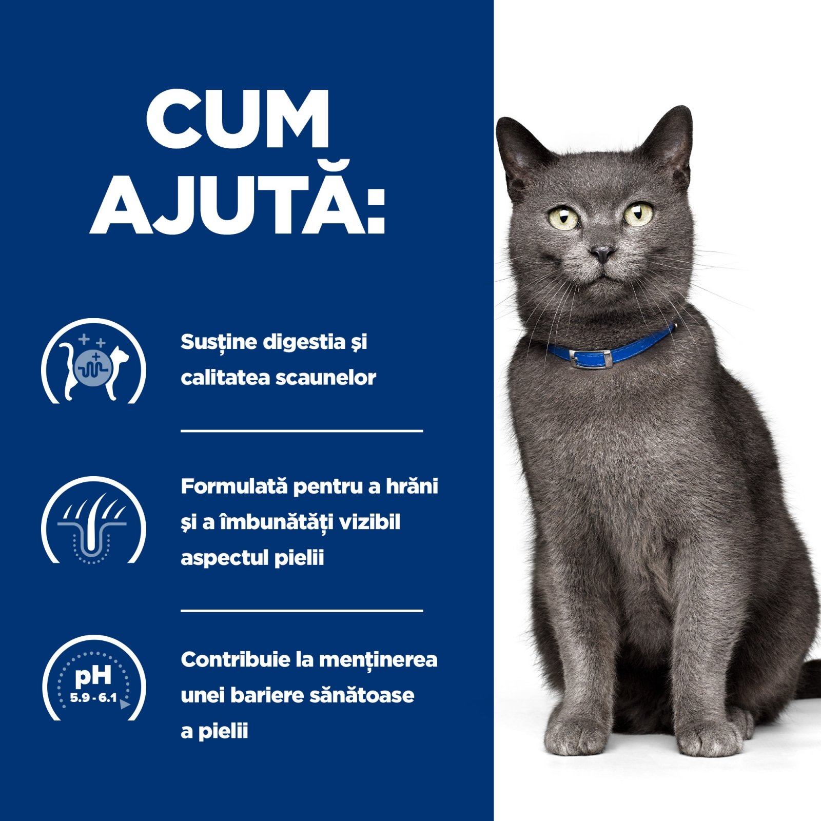 HILL'S Prescription Diet d/d, Rață cu Mazăre, dietă veterinară pisici, hrană uscată, sensibilități digestive HILL'S Prescription Diet d/d, Rață cu Mazăre, dietă veterinară pisici, hrană uscată, piele & blana, sistem digestiv, 3kg