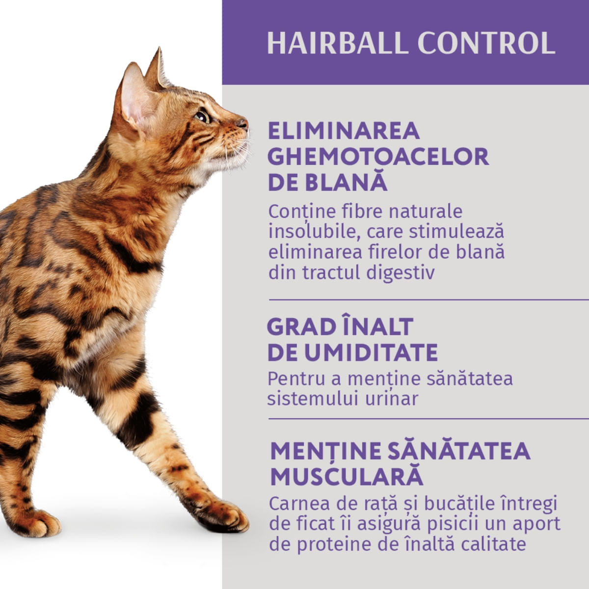 OPTIMEAL Hairball Control, Rață și Ficat, hrană umedă pisici, limitarea ghemurilor de blană, (în aspic) OPTIMEAL Hairball Control, Rață și Ficat, plic hrană umedă pisici, limitarea ghemurilor de blană, (în aspic), 85g - 1 | YEO