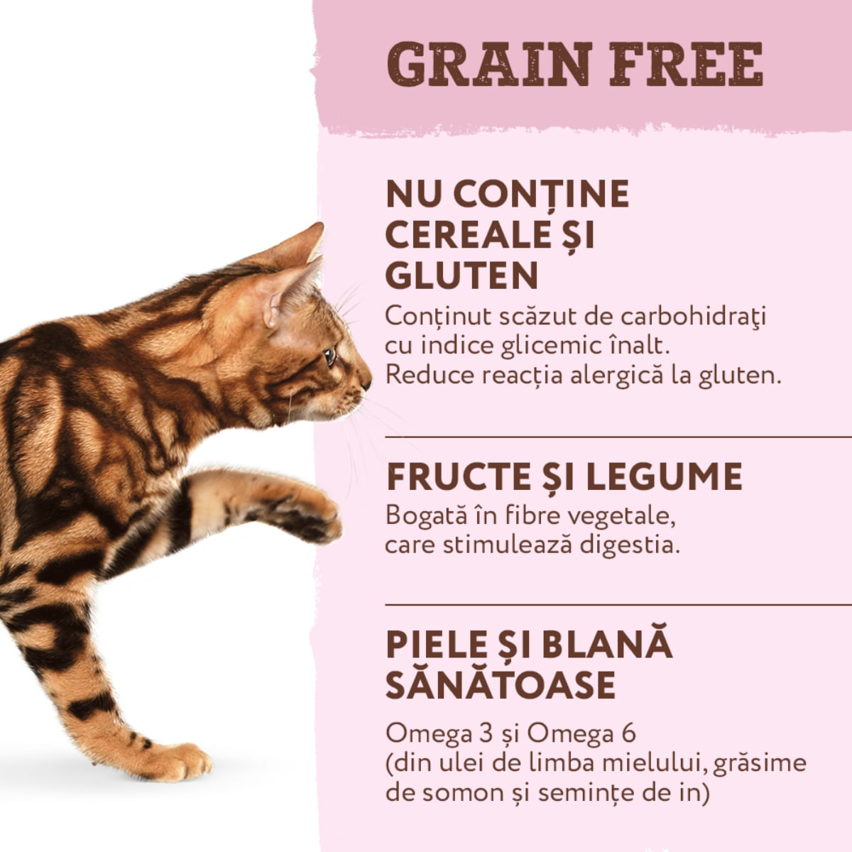 OPTIMEAL, Curcan cu legume, hrană uscată fără cereale pisici OPTIMEAL, Curcan și Legume, hrană uscată fără cereale pisici, 4kg