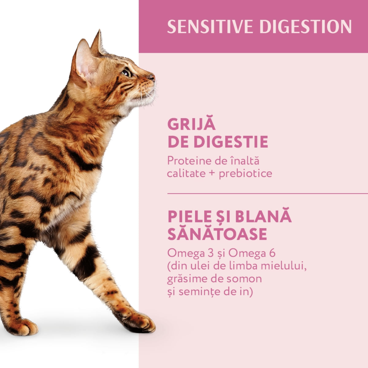 OPTIMEAL Sensitive, Miel, hrană uscată pisici, sesibilități digestive OPTIMEAL Sensitive, Miel, hrană uscată pisici, sistem digestiv, 200g - 4 | YEO