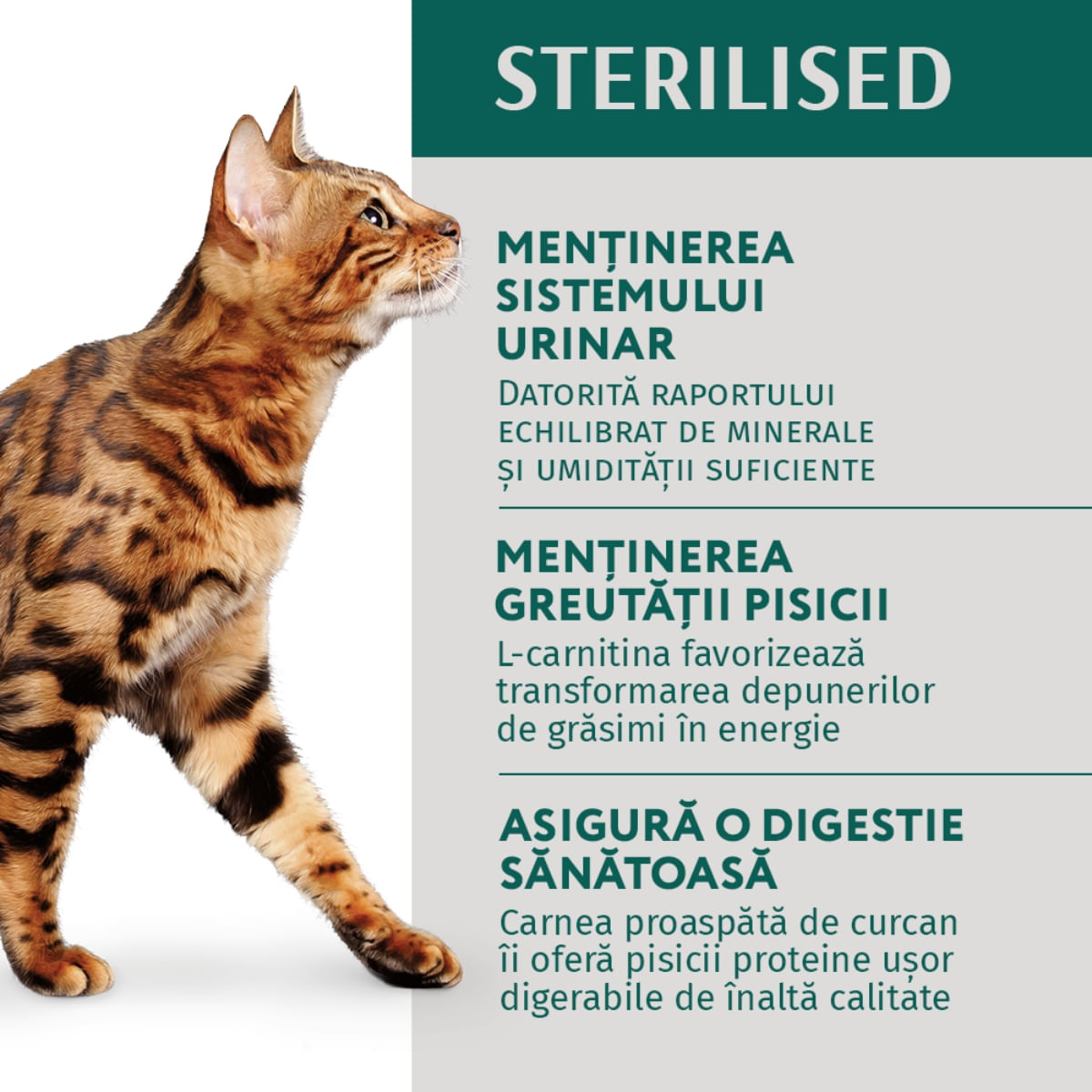 OPTIMEAL Sterilised, Pui și Curcan, hrană umedă pisici sterilizate, (în sos) OPTIMEAL Sterilised, Pui și Curcan, plic hrană umedă pisici sterilizate, (în sos), 85g