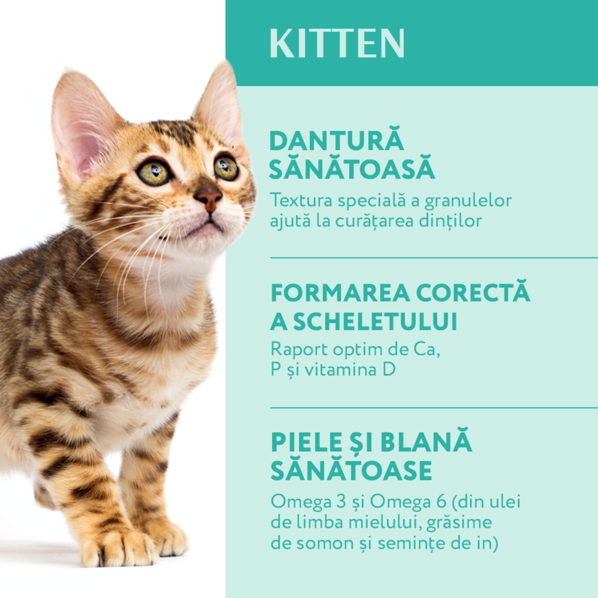 OPTIMEAL Kitten, Pui, hrană uscată pisici junior, 1.5kg - 2 | YEO