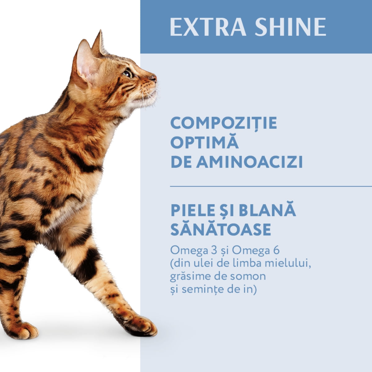 OPTIMEAL Extra Shine, Cod, hrană uscată pisici, piele și blană OPTIMEAL Extra Shine, Cod, hrană uscată pisici, piele &amp; blană, 700g