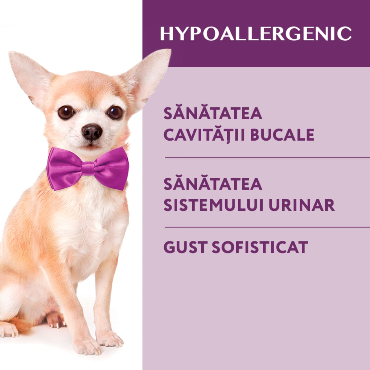 OPTIMEAL Hypoallergenic XS-S, Miel cu Orez, hrană uscată câini, sensibilități digestive, piele și blană OPTIMEAL Hypoallergenic, XS-S, Miel, hrană uscată câini, 1.5kg - 4 | YEO