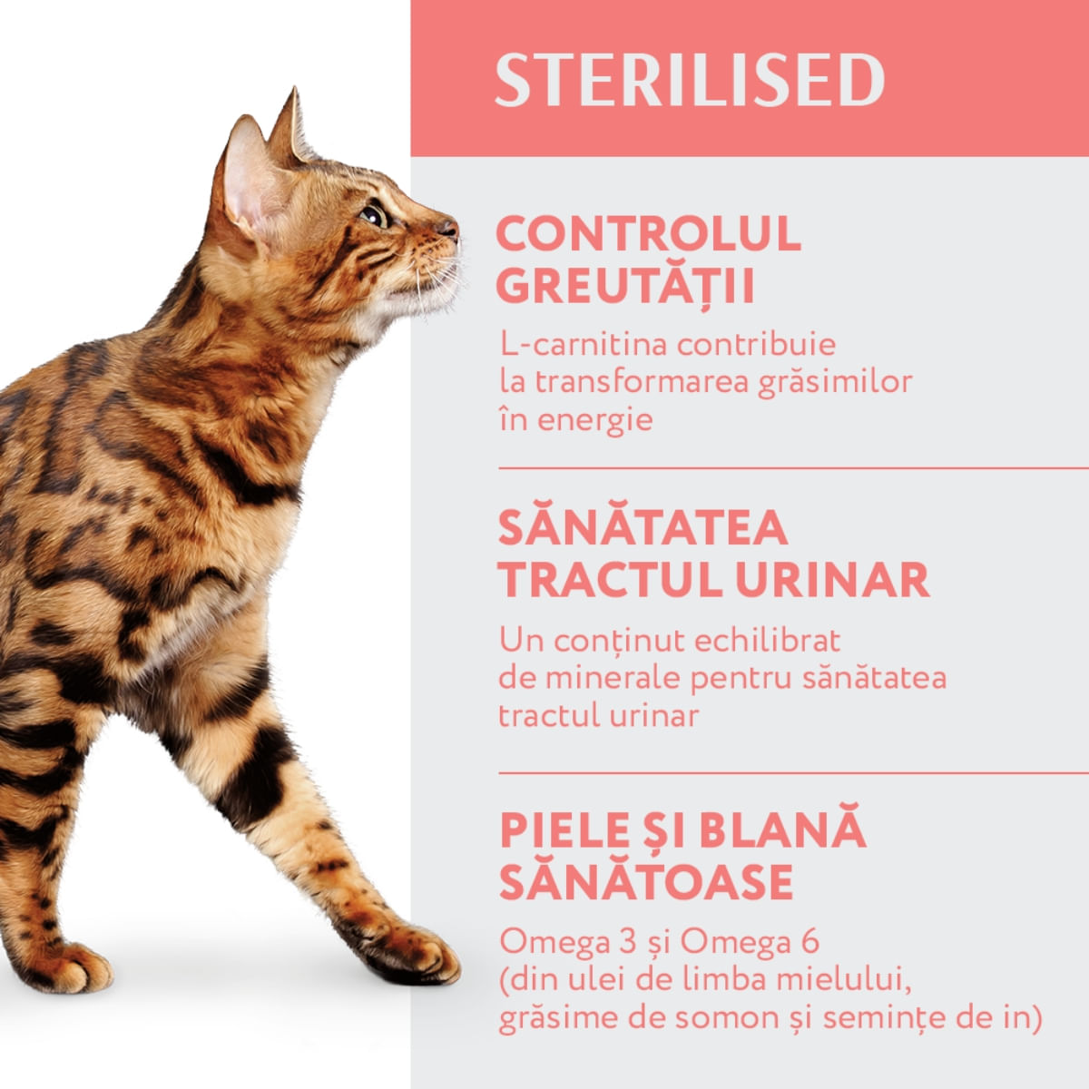 OPTIMEAL Sterilised, Vită cu Sorg, hrană uscată pisici sterilizate OPTIMEAL Sterilised, Vită, hrană uscată pisici sterilizate, 700g