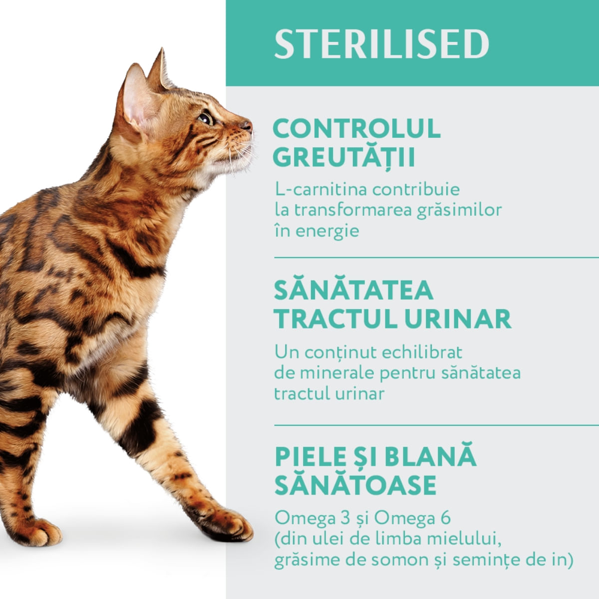 OPTIMEAL Sterilised, Curcan cu Ovăz, hrană uscată pisici sterilizate OPTIMEAL Sterilised, Curcan, hrană uscată pisici sterilizate, 10kg