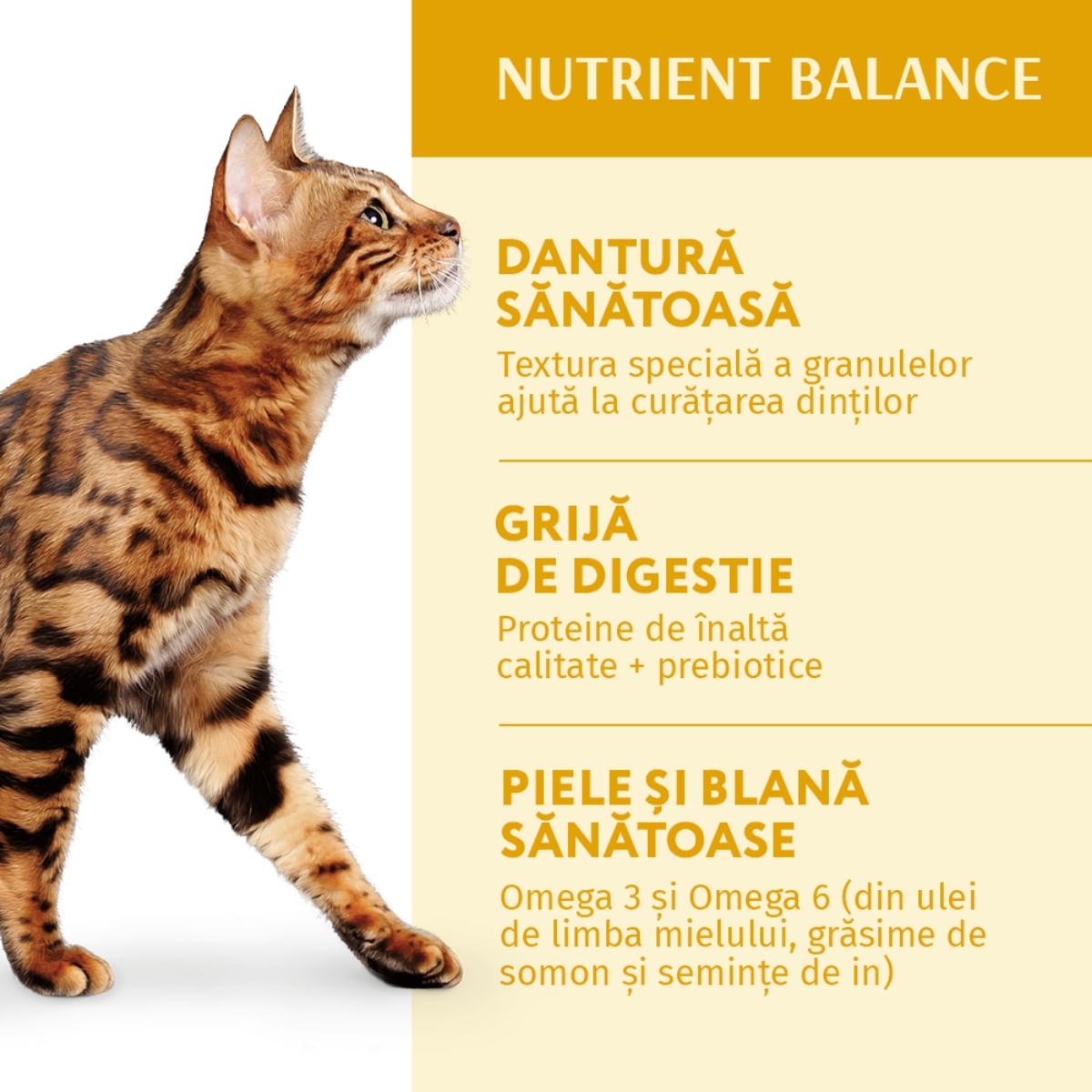 OPTIMEAL, Pui, hrană uscată pisici, 1.5kg