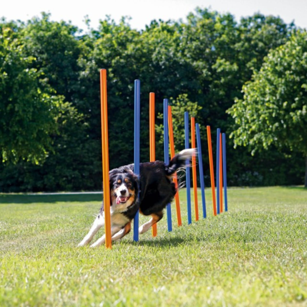 TRIXIE Agility Slalom, jucărie interactivă câini, plastic, 115cm x 3cm, 12buc, albastru/portocaliu