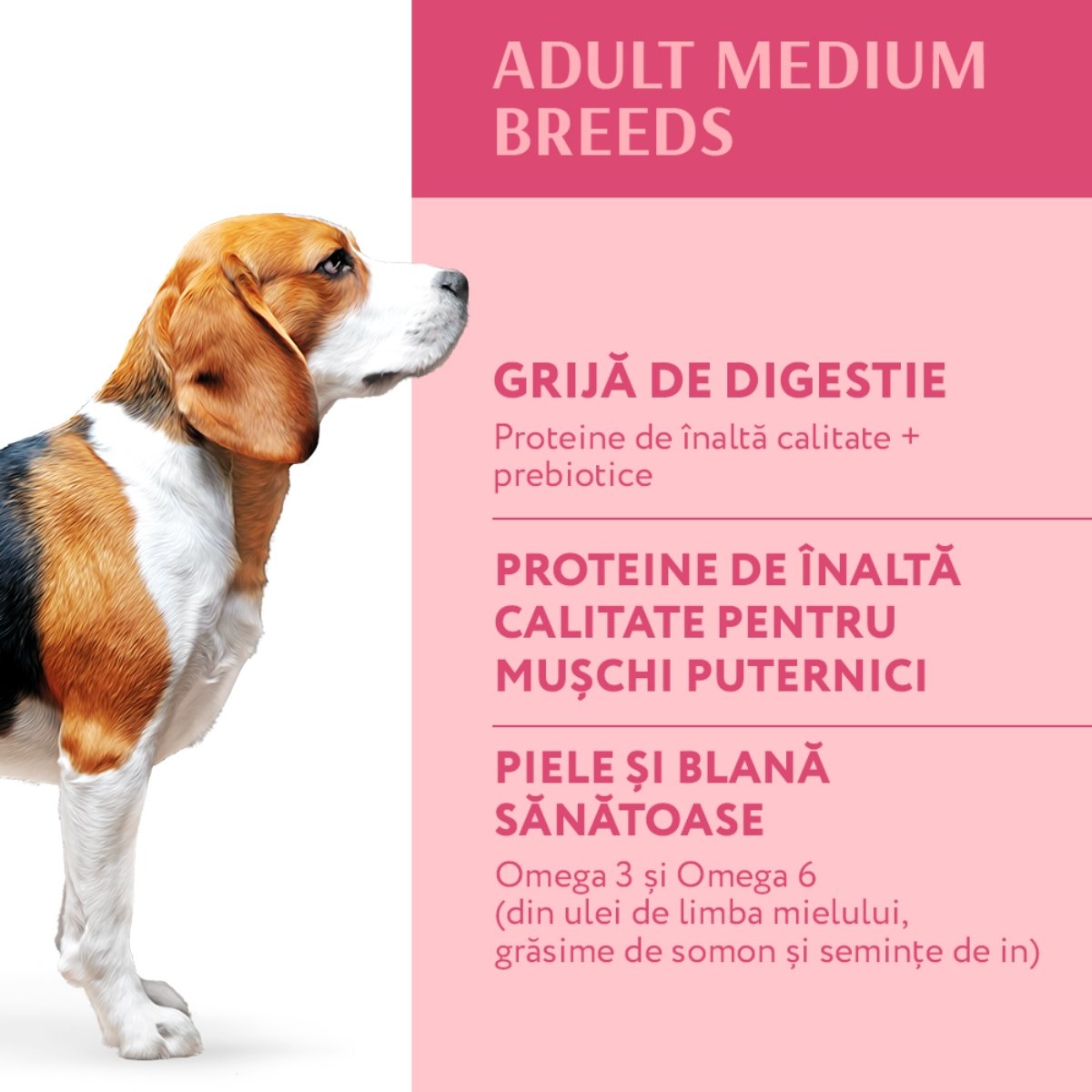 OPTIMEAL Adult M, Curcan, hrană uscată câini OPTIMEAL Adult, M, Curcan, hrană uscată câini, 4kg - 3 | YEO