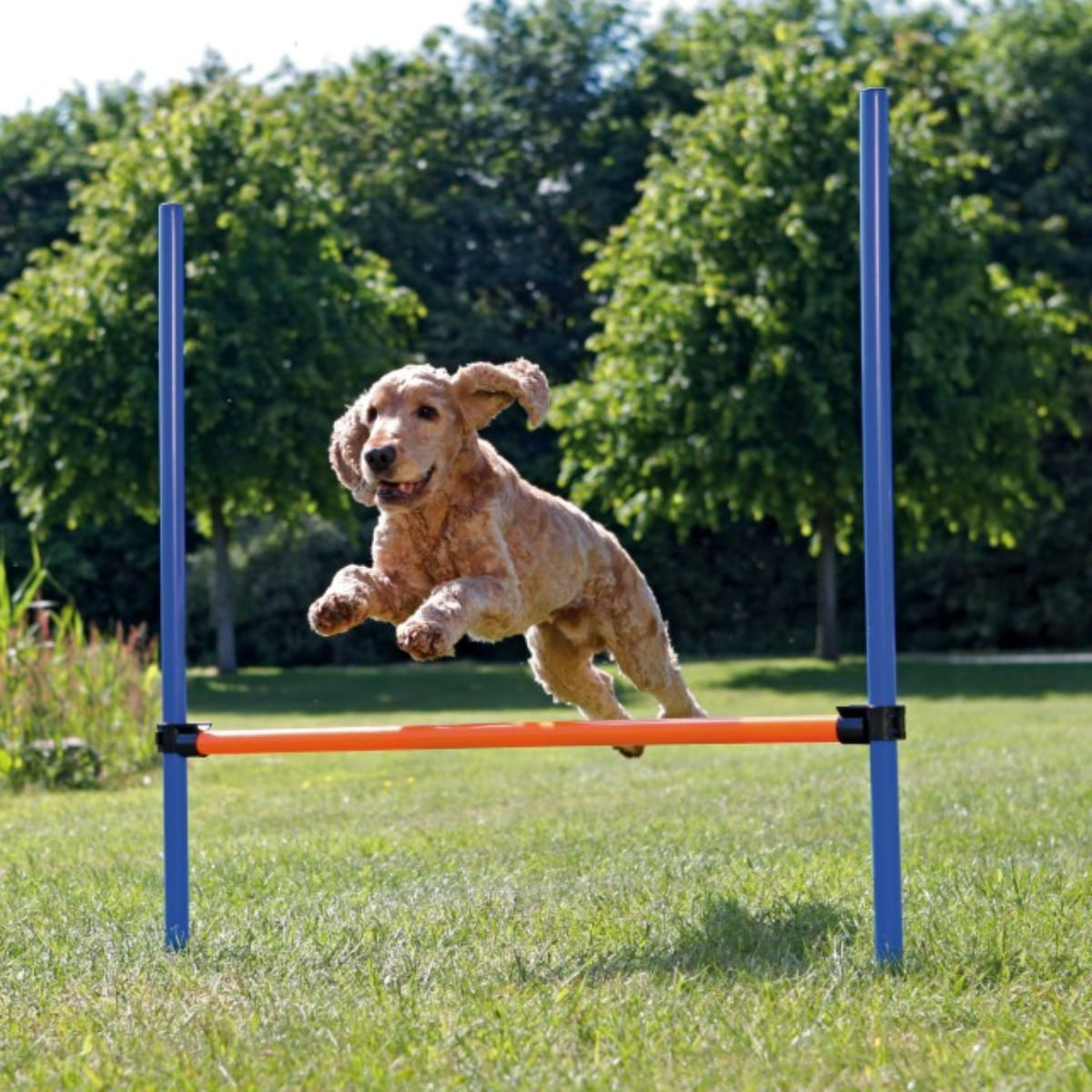 TRIXIE Agility Hurdle, jucărie obstacol câini, plastic, 129cm x 115cm x 3cm, albastru cu portocaliu