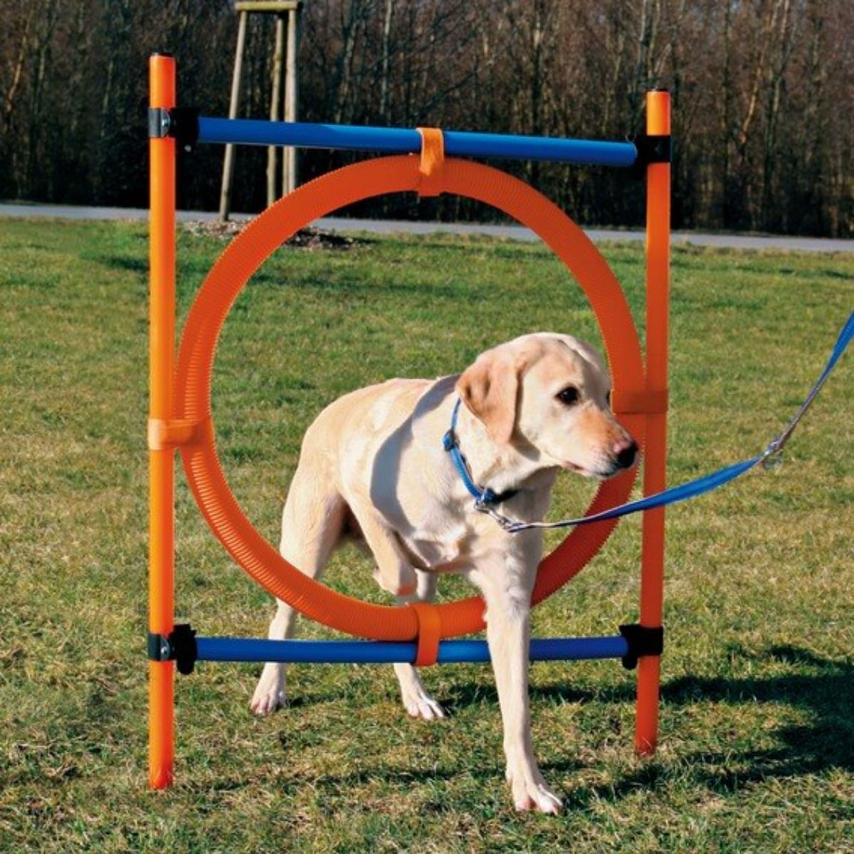 TRIXIE Agility Ring, jucărie obstacol câini, plastic, 65cm, albastru cu portocaliu - 1 | YEO