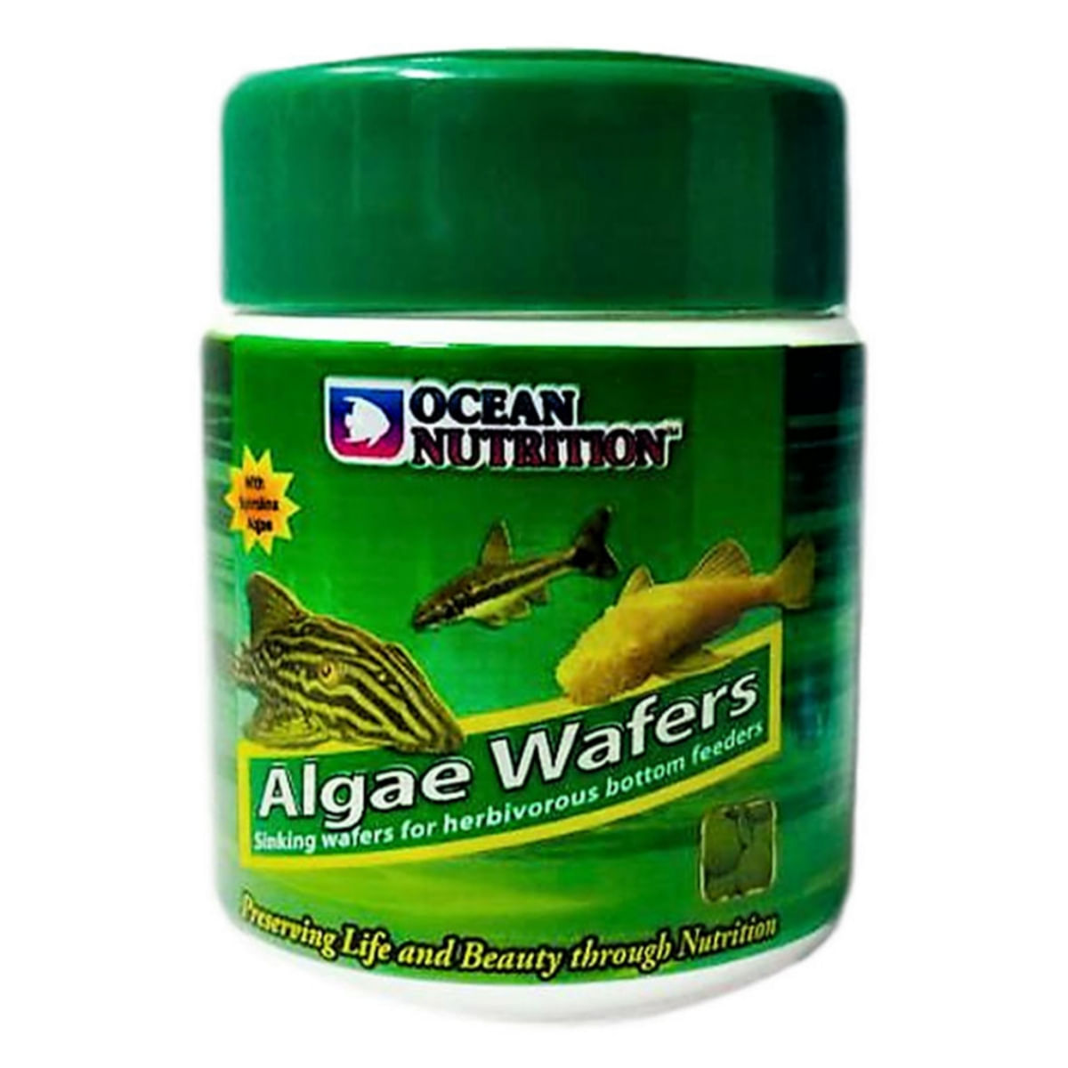 OCEAN NUTRITION Algae Wafers, 75g - 1 | YEO