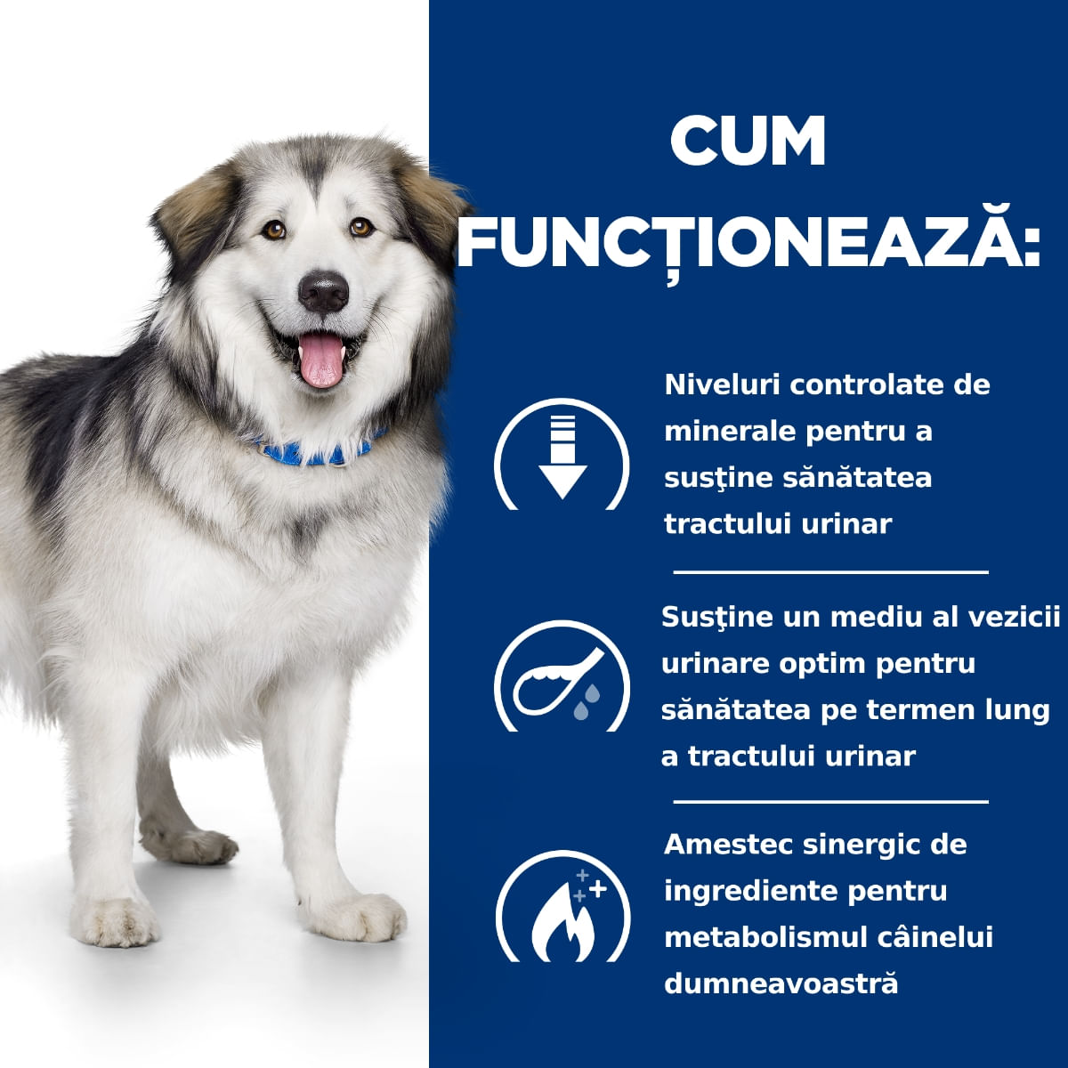 HILL'S Prescription Diet c/d Urinary + Weight Care + Metabolic, Pui, dietă veterinară câini, hrană uscată, afecțiuni urinare și metabolice HILL'S Prescription Diet c/d Urinary + Weight Care + Metabolic, Pui, dietă veterinară câini, hrană uscată, sistem u