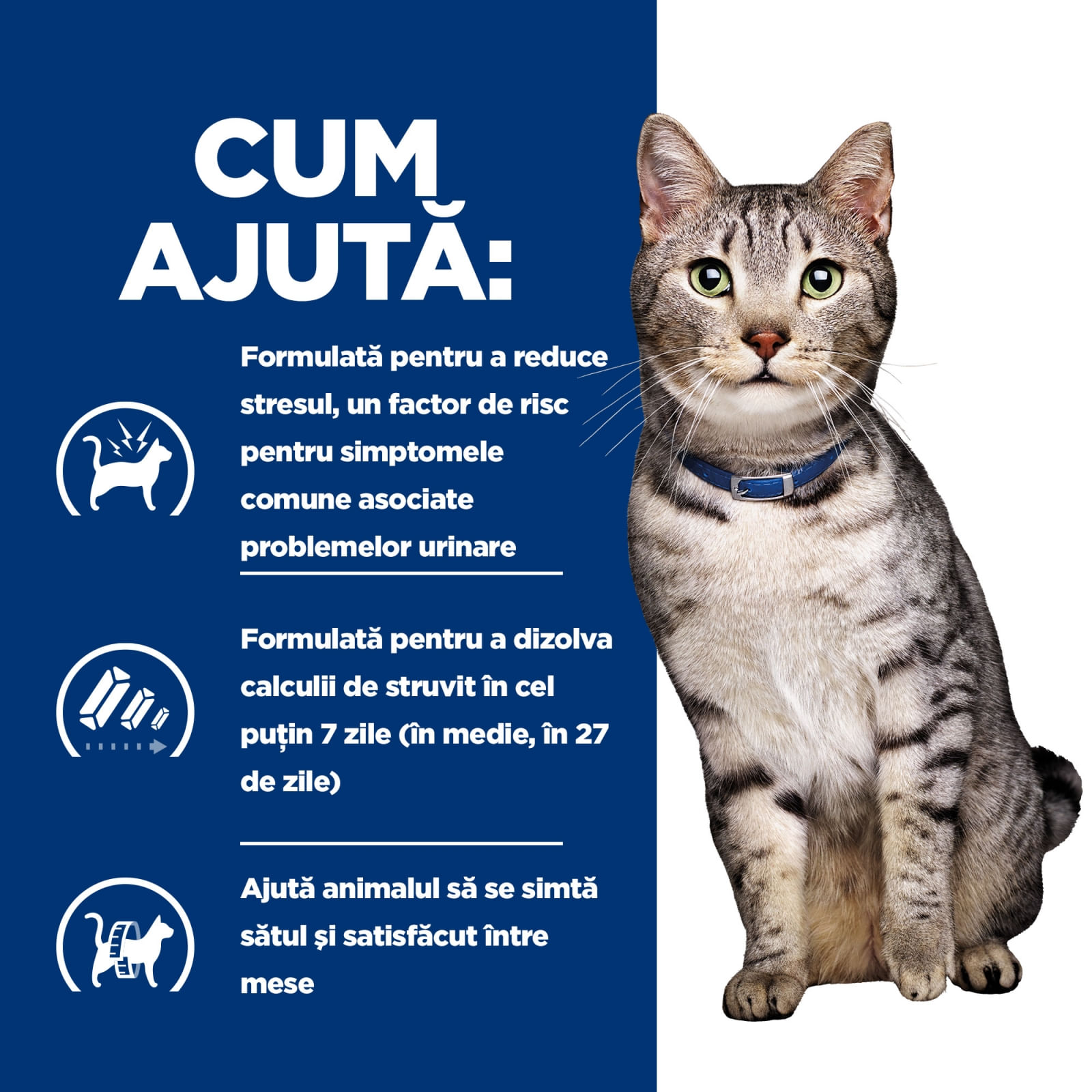 HILL&#039;S Prescription Diet c/d Stress + Metabolic, Pui, dietă veterinară pisici, plic hrană umedă, sistem urinar, metabolism, (în sos), bax, 85g x 12buc