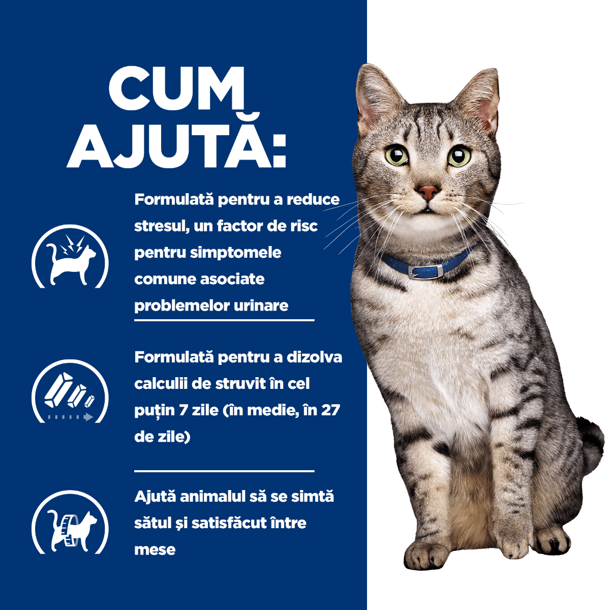 HILL&#039;S Prescription Diet c/d Stress + Metabolic, Pui, dietă veterinară pisici, plic hrană umedă, sistem urinar, metabolism, (în sos), bax, 85g x 12buc