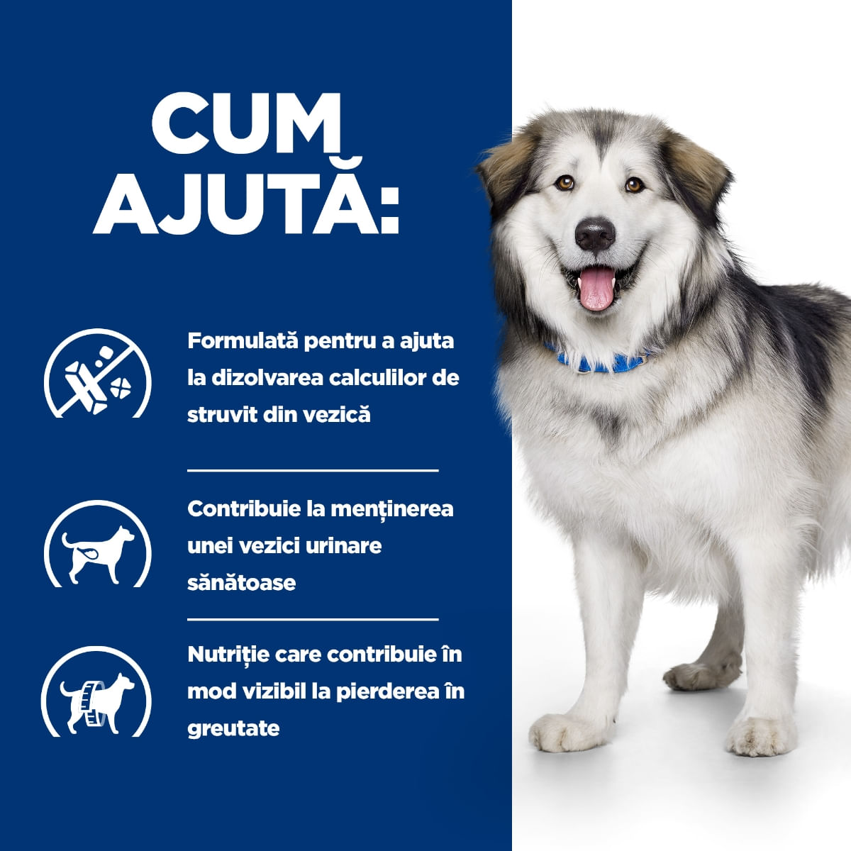HILL'S Prescription Diet c/d Urinary + Weight Care + Metabolic, Pui, dietă veterinară câini, hrană uscată, afecțiuni urinare și metabolice HILL'S Prescription Diet c/d Urinary + Weight Care + Metabolic, Pui, dietă veterinară câini, hrană uscată, sistem u