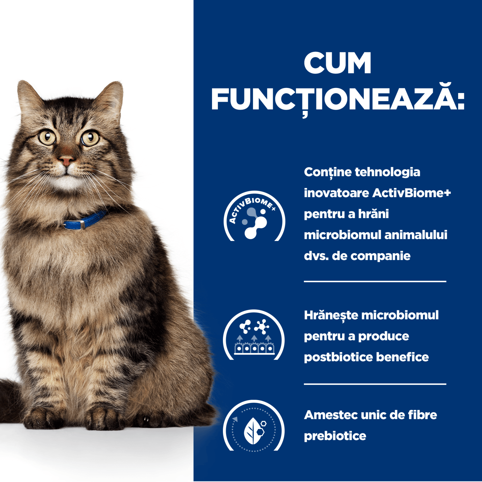 HILL&#039;S Prescription Diet Gastrointestinal Biome, Pui cu Legume, dietă veterinară pisici, conservă hrană umedă, sistem digestiv, 82g