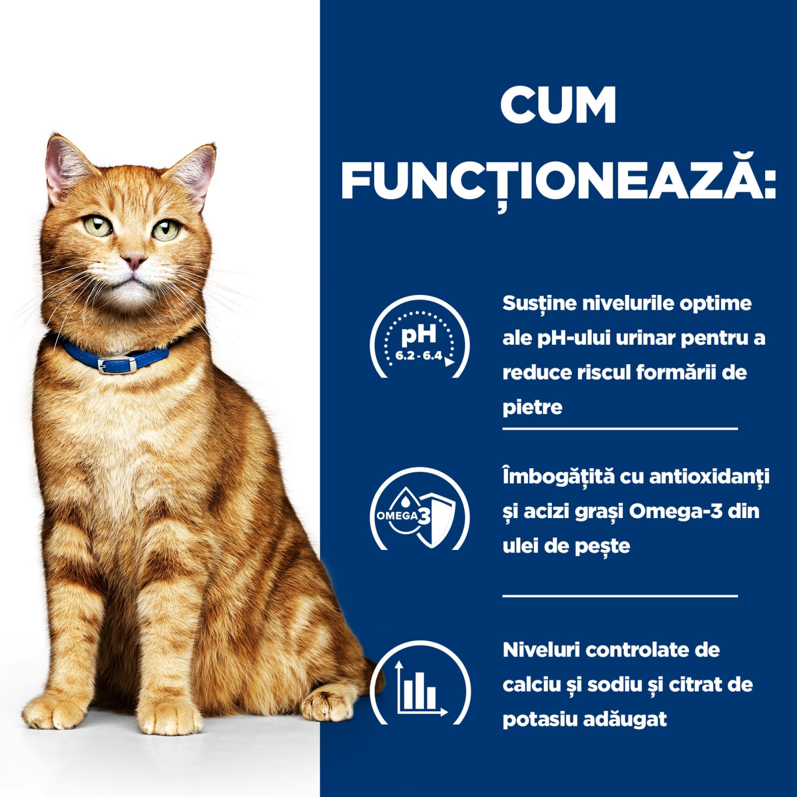 HILL&#039;S Prescription Diet c/d Urinary, Somon, dietă veterinară pisici, plic hrană umedă, sistem urinar, 85g x 12buc