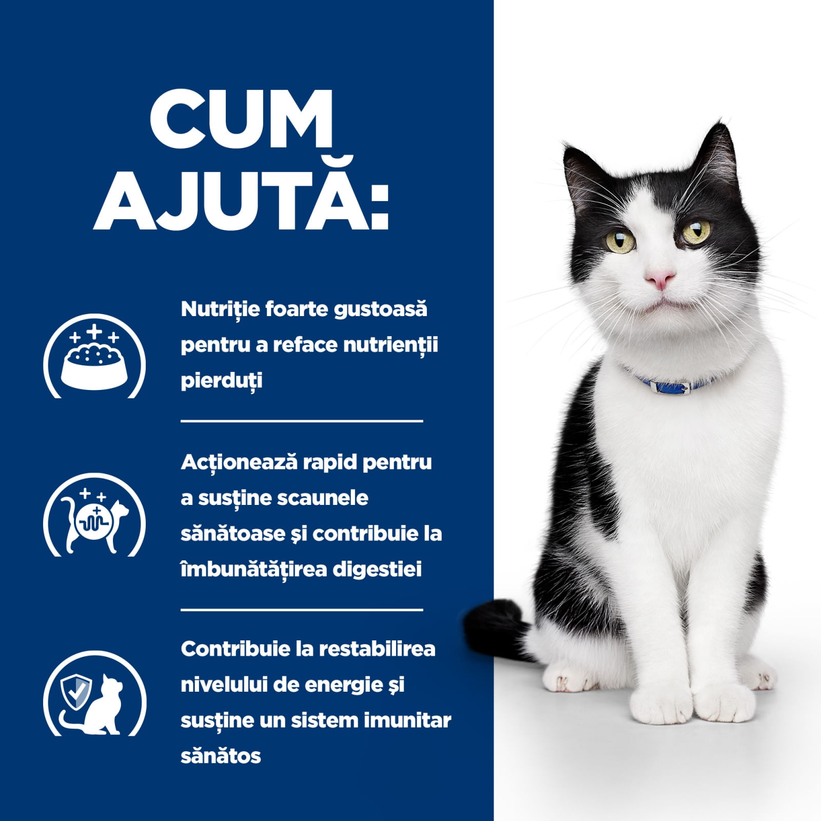 HILL&#039;S Prescription Diet i/d Sensitive Digestive Care, Pui cu Legume, dietă veterinară pisici, conservă hrană umedă, sistem digestiv, 82g