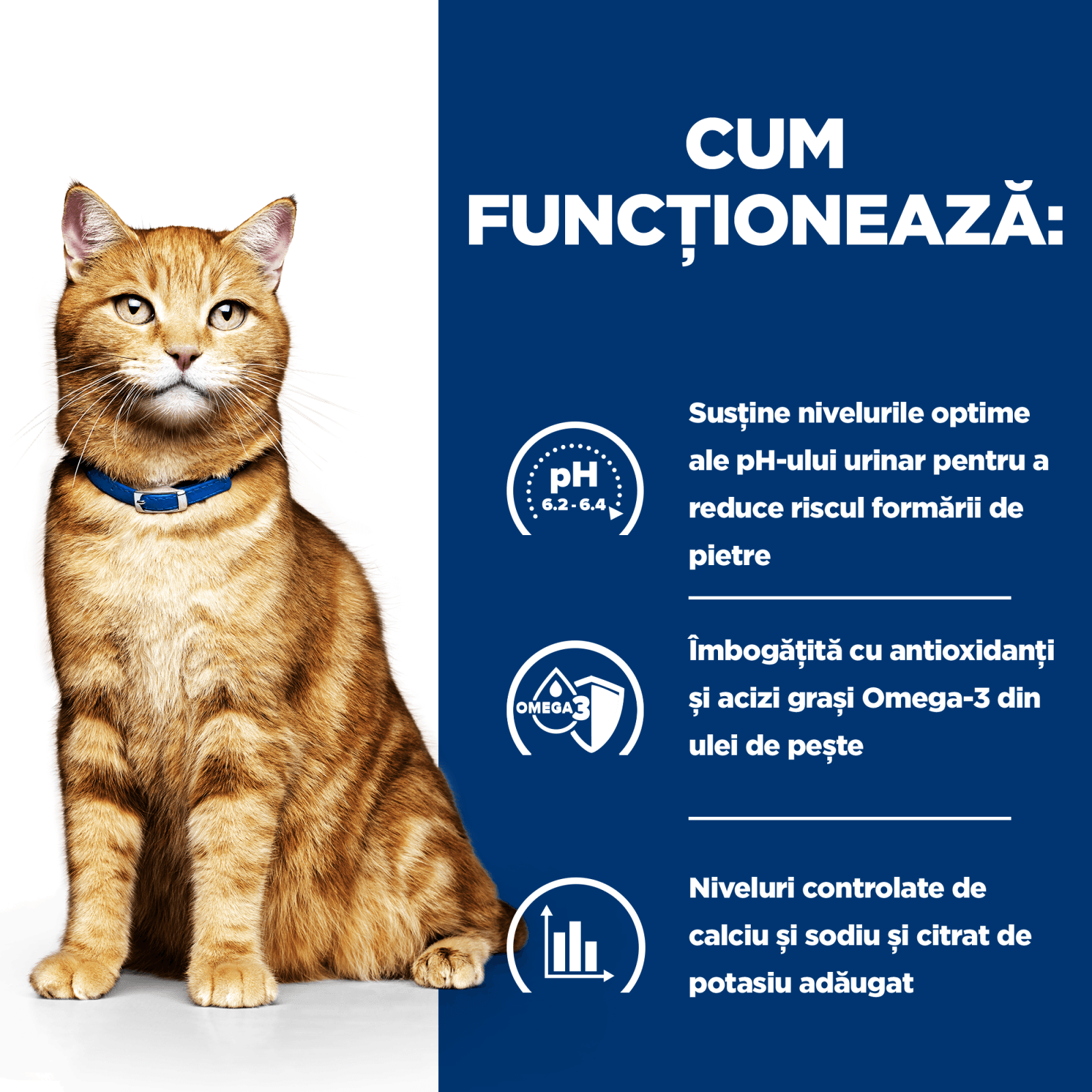 HILL'S Prescription Diet c/d Urinary, Pui cu Legume, dietă veterinară pisici, conservă hrană umedă, afecțiuni urinare HILL'S Prescription Diet c/d Urinary Care, Pui cu Legume, dietă veterinară pisici, conservă hrană umedă, sistem urinar, (în sos), 82g