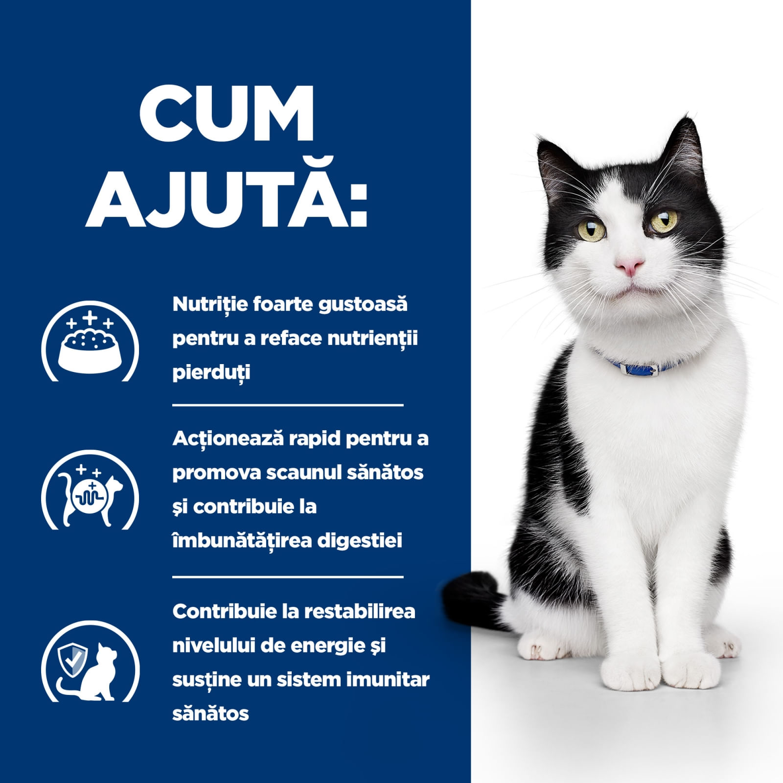 HILL&#039;S Prescription Diet i/d Sensitive Digestive Care, Pui, dietă veterinară pisici, conservă hrană umedă, sistem digestiv, 156g