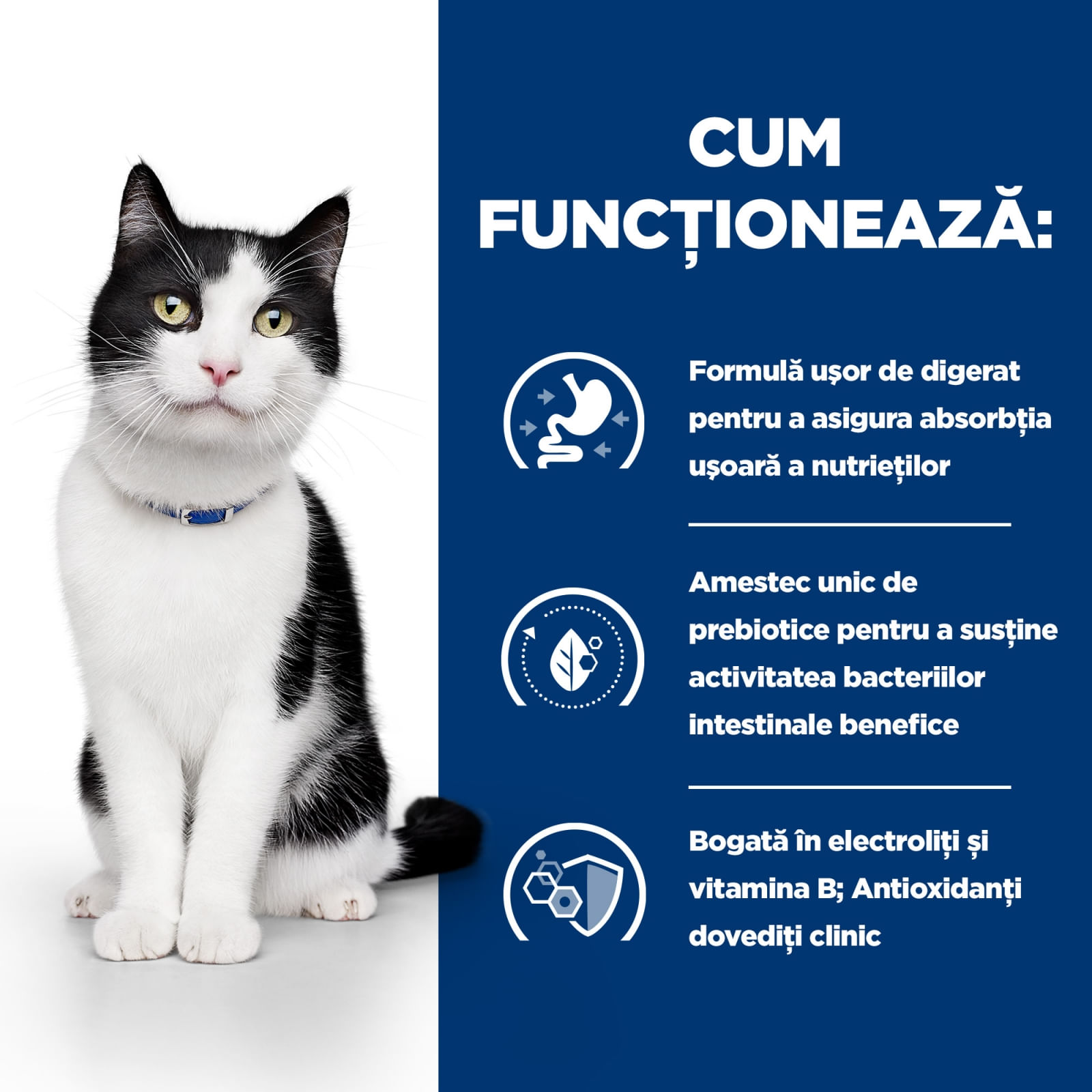 HILL&#039;S Prescription Diet i/d Sensitive Digestive Care, Pui, dietă veterinară pisici, plic hrană umedă, sistem digestiv, 85g x 12buc