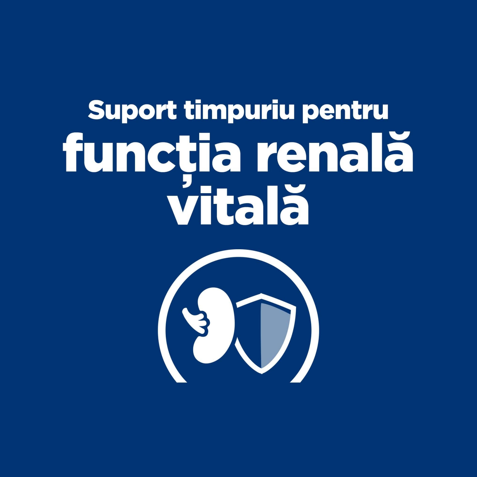 HILL&#039;S Prescription Diet k/d Kidney Care Early Stage, dietă veterinară câini, hrană uscată, afecțiuni renale HILL&#039;S Prescription Diet k/d Kidney Care Early Stage, dietă veterinară câini, hrană uscată, sistem renal, 12kg