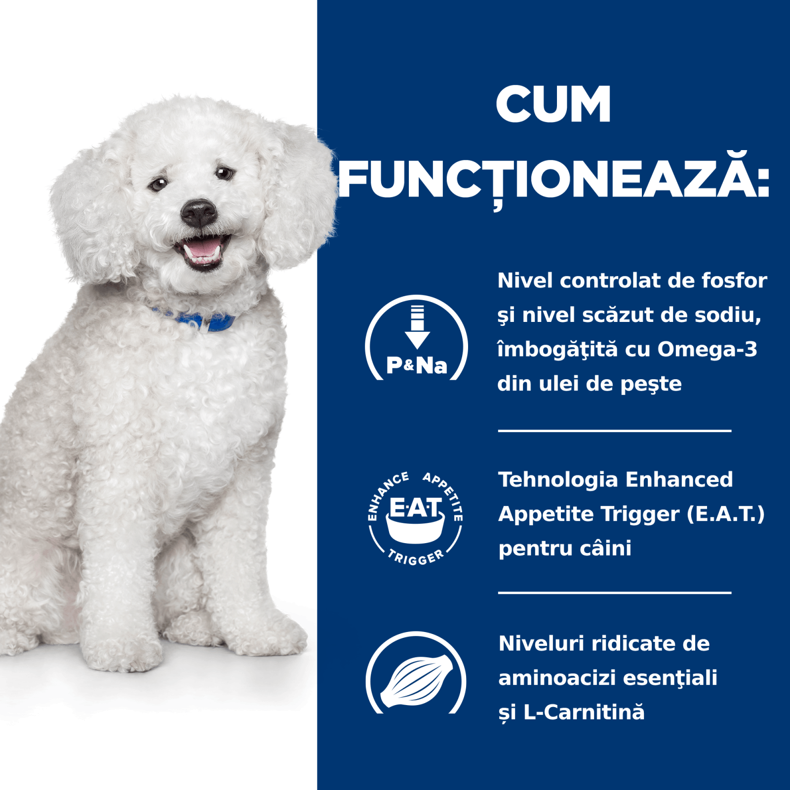 HILL&#039;S Prescription Diet k/d Kidney Care Early Stage, dietă veterinară câini, hrană uscată, afecțiuni renale HILL&#039;S Prescription Diet k/d Kidney Care Early Stage, dietă veterinară câini, hrană uscată, sistem renal, 1.5kg