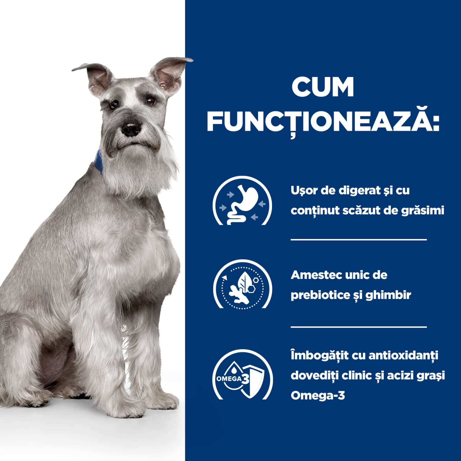 HILL&#039;S Prescription Diet i/d Digestive Care Low Fat, Pui, dietă veterinară câini, hrană uscată, sensibilități digestive HILL&#039;S Prescription Diet i/d Digestive Care Low Fat, Pui, dietă veterinară câini, hrană uscată, sistem digestiv, 1.5kg