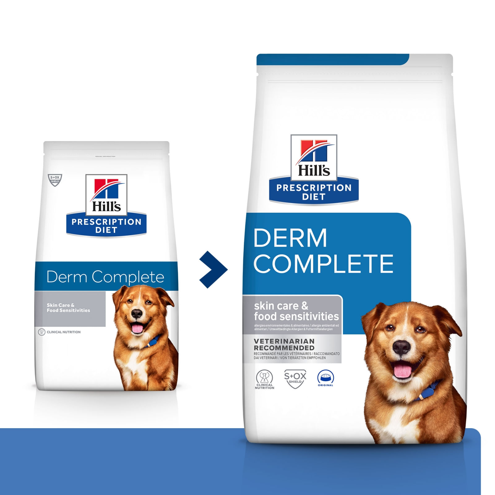 HILL'S Prescription Diet Derm Complete, dietă veterinară câini, hrană uscată, afecțiuni dermatologice HILL'S Prescription Diet Derm Complete, dietă veterinară câini, hrană uscată,piele & blana, 12kg