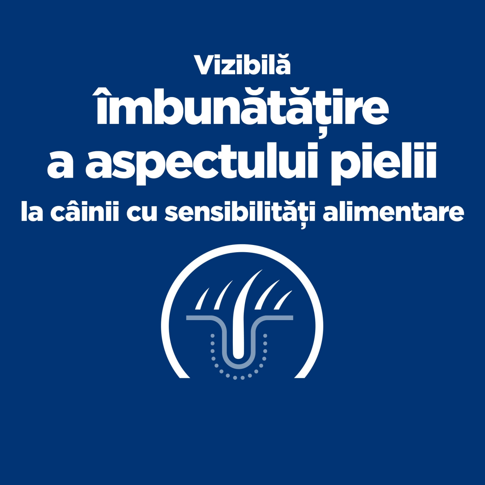 HILL&#039;S Prescription Diet Derm Complete, dietă veterinară câini, hrană uscată, afecțiuni dermatologice HILL&#039;S Prescription Diet Derm Complete, dietă veterinară câini, hrană uscată, piele &amp; blana, 1.5kg