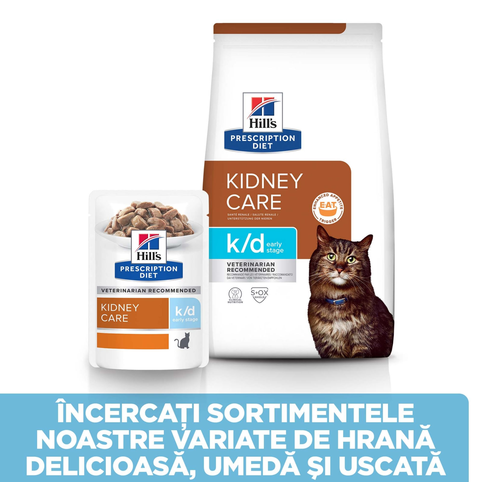 HILL'S Prescription Diet k/d Kidney Care Early Stage, dietă veterinară pisici, hrană uscată, afecțiuni renale HILL'S Prescription Diet k/d Kidney Care Early Stage, dietă veterinară pisici, hrană uscată, sistem renal, 1.5kg