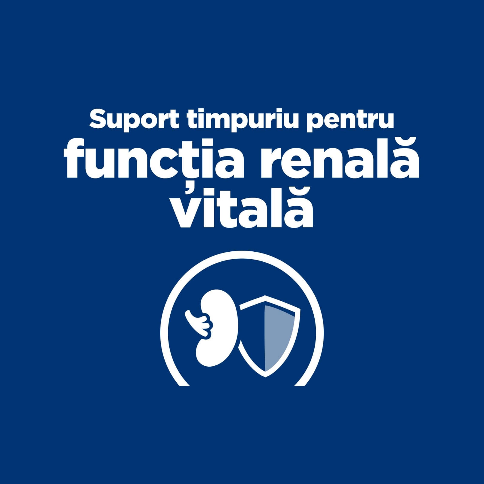 HILL'S Prescription Diet k/d Kidney Care Early Stage, dietă veterinară pisici, hrană uscată, afecțiuni renale HILL'S Prescription Diet k/d Kidney Care Early Stage, dietă veterinară pisici, hrană uscată, sistem renal, 1.5kg
