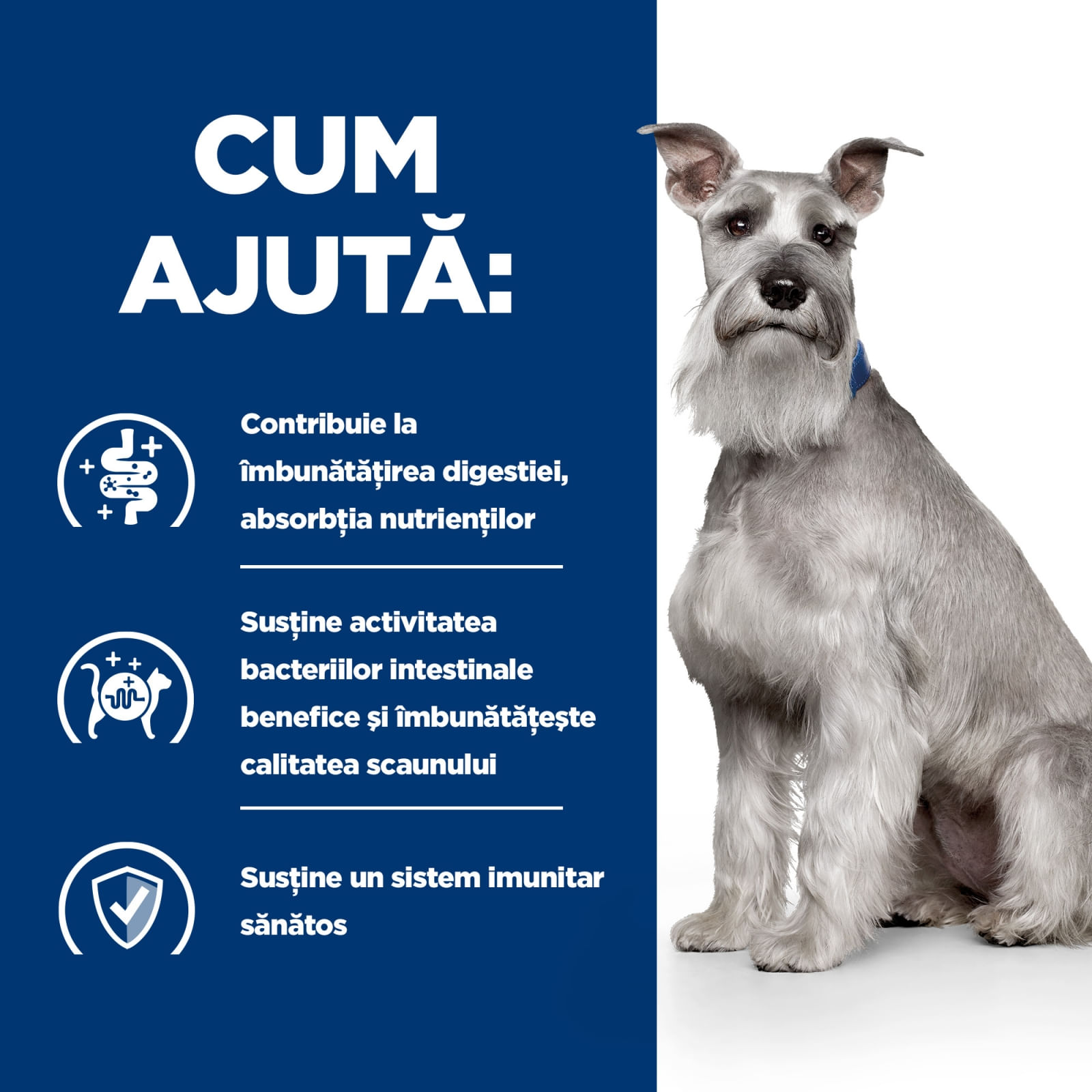 HILL&#039;S Prescription Diet i/d Digestive Care Low Fat, Pui, dietă veterinară câini, hrană uscată, sensibilități digestive HILL&#039;S Prescription Diet i/d Digestive Care Low Fat, Pui, dietă veterinară câini, hrană uscată, sistem digestiv, 1.5kg