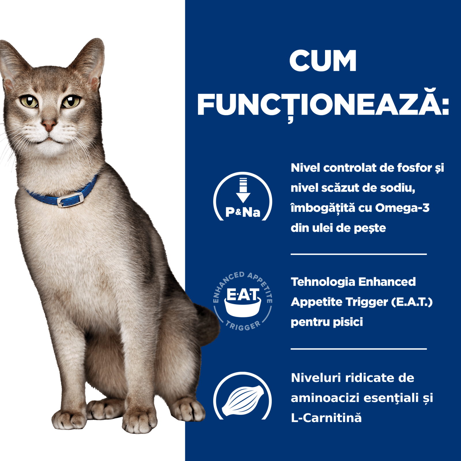 HILL&#039;S Prescription Diet k/d Kidney Care, Somon, dietă veterinară pisici, plic hrană umedă, sistem renal, 85g x 12buc