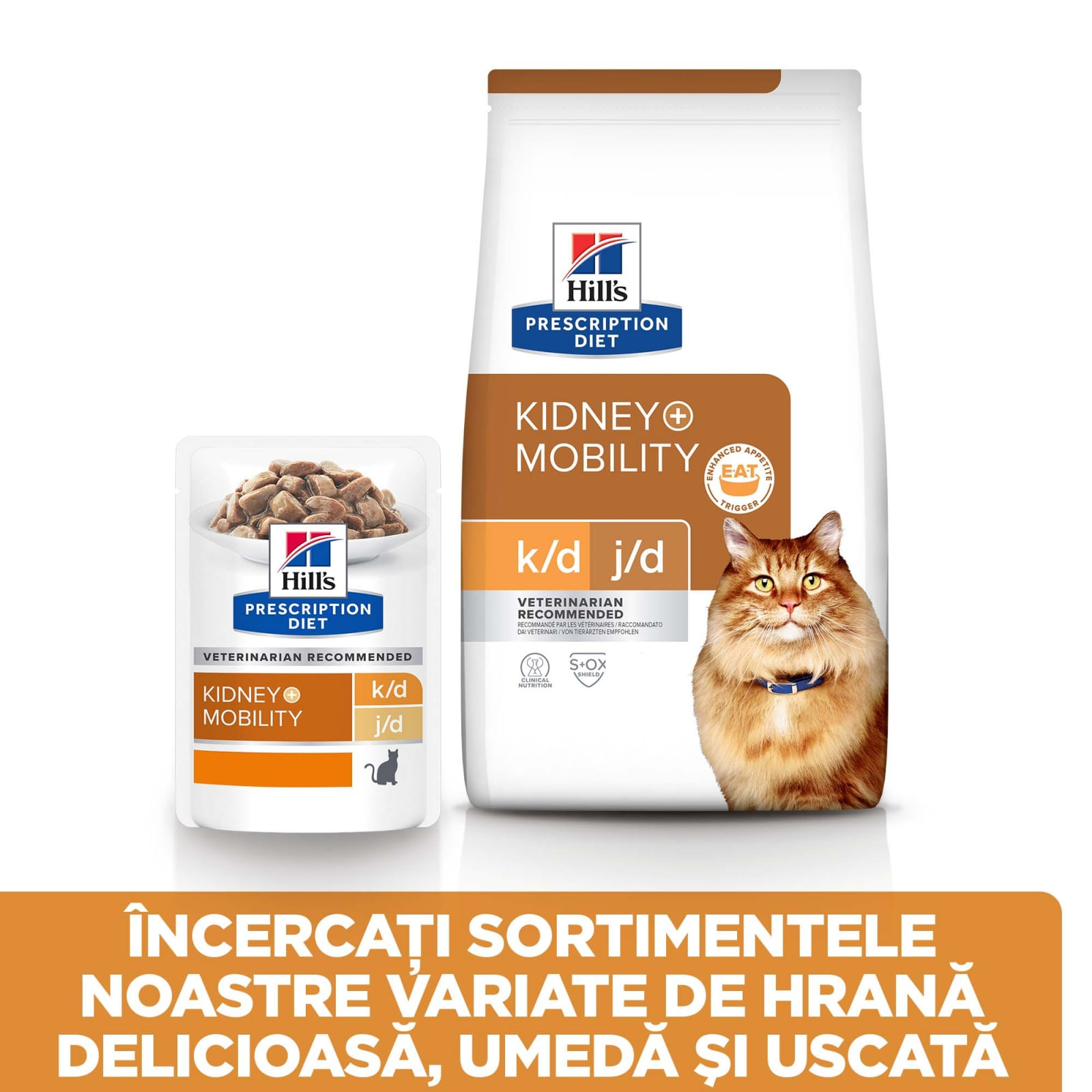 HILL\'S Prescription Diet k/d+j/d Kidney Care + Mobility, Pui, dietă veterinară pisici, hrană uscată, afecțiuni renale și articulare HILL\'S Prescription Diet k/d+j/d Kidney Care + Mobility, Pui, dietă veterinară pisici, hrană uscată, sistem renal, sistem - 2 | YEO