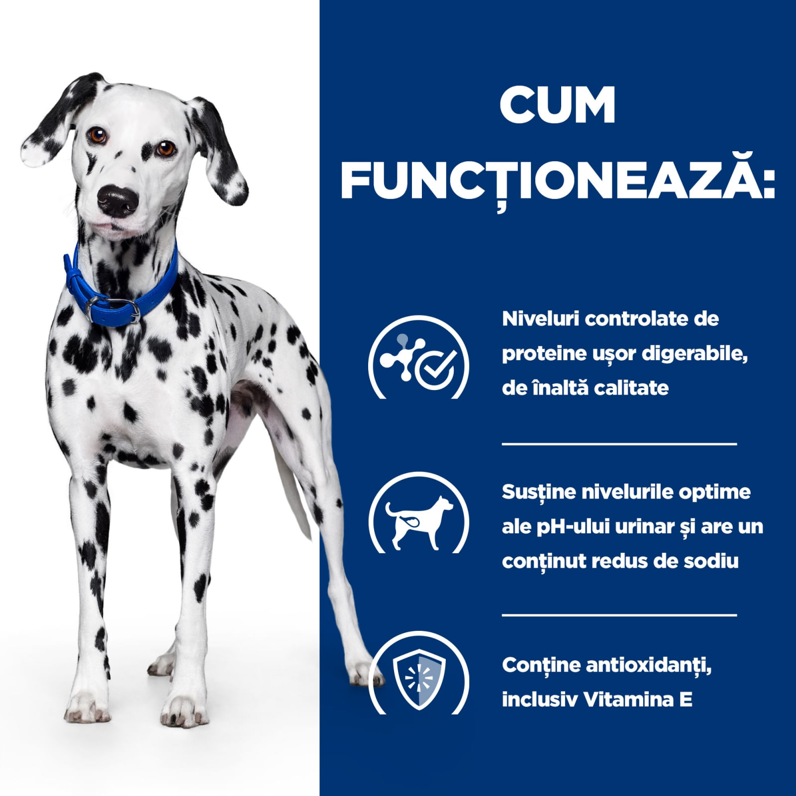 HILL&#039;S Prescription Diet u/d Urinary Care, dietă veterinară câini, conservă hrană umedă, sistem urinar, 370g