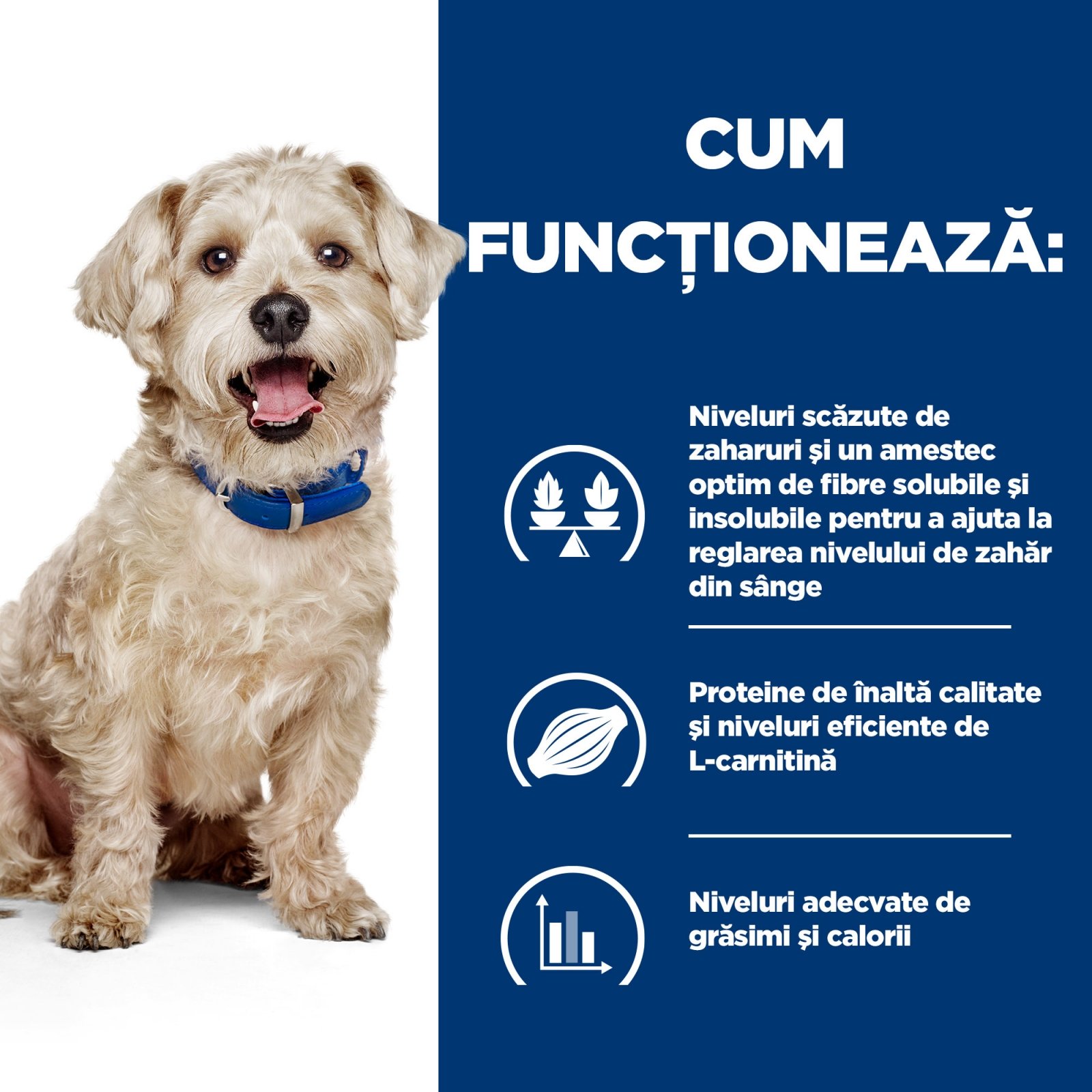 HILL&#039;S Prescription Diet w/d Diabetes Care, Pui, dietă veterinară câini, conservă hrană umedă, metabolism (obezitate si diabet), 370g