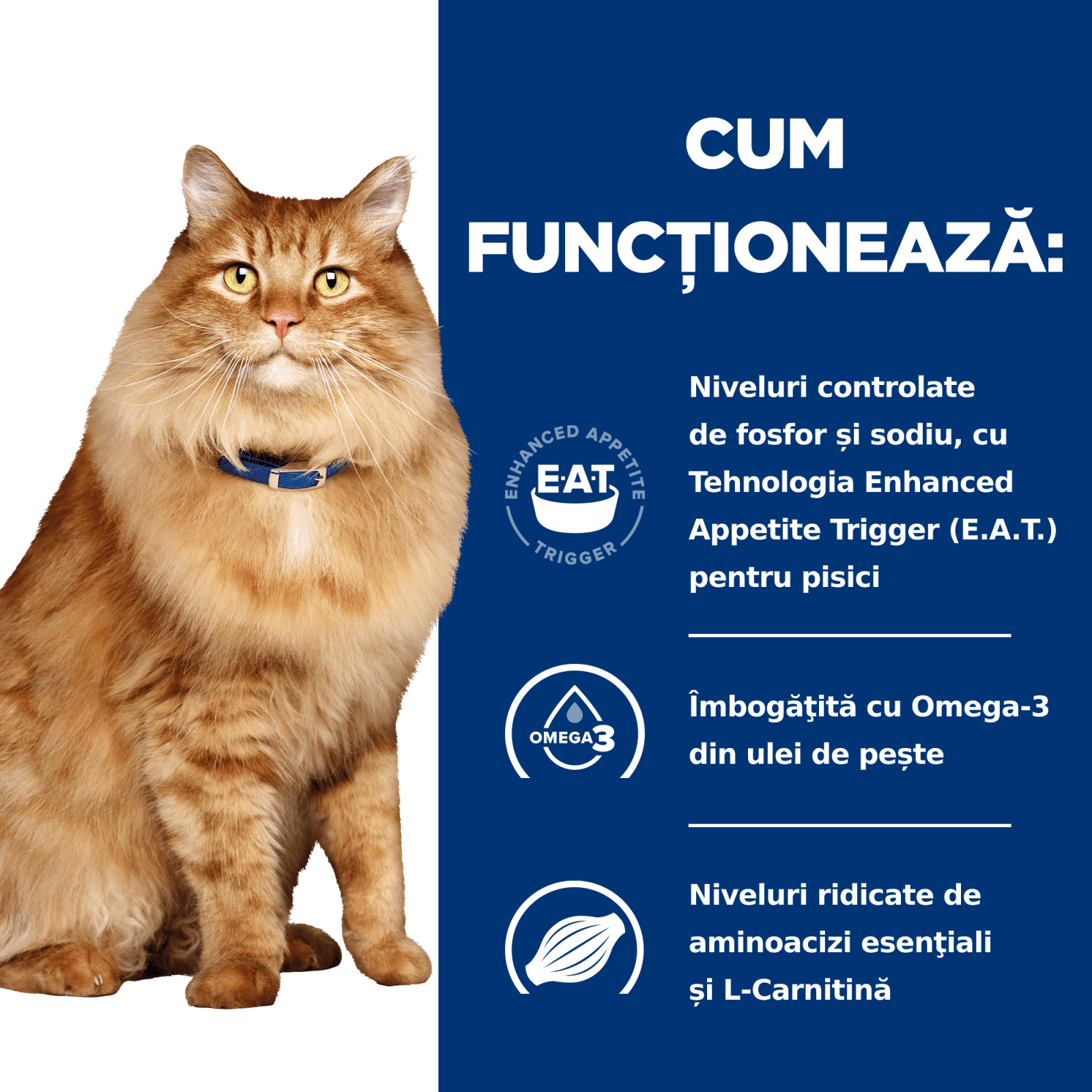 HILL'S Prescription Diet k/d+j/d Kidney Care + Mobility, Pui, dietă veterinară pisici, hrană uscată, afecțiuni renale și articulare HILL'S Prescription Diet k/d+j/d Kidney Care + Mobility, Pui, dietă veterinară pisici, hrană uscată, sistem renal, sistem